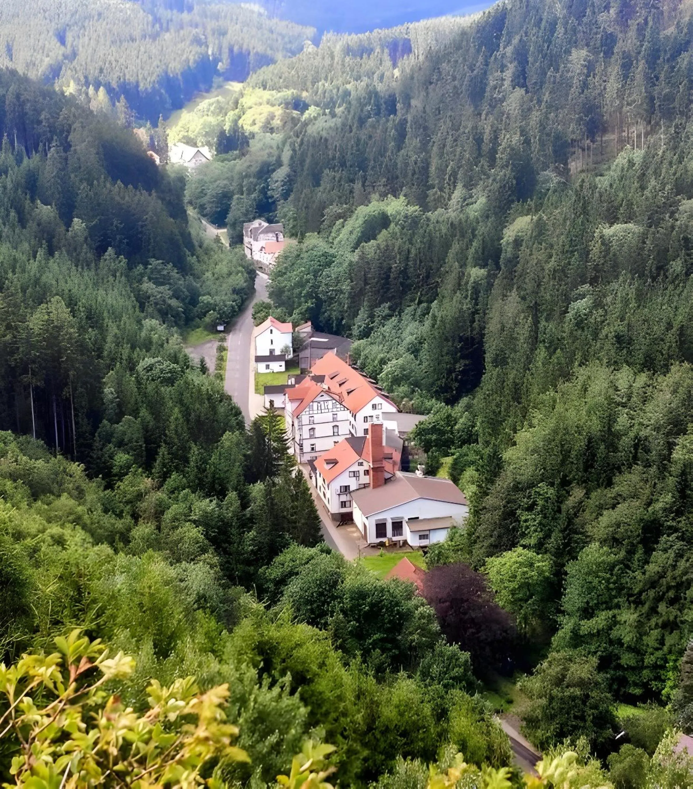 Natural landscape in Waldhotel Friedrichroda
