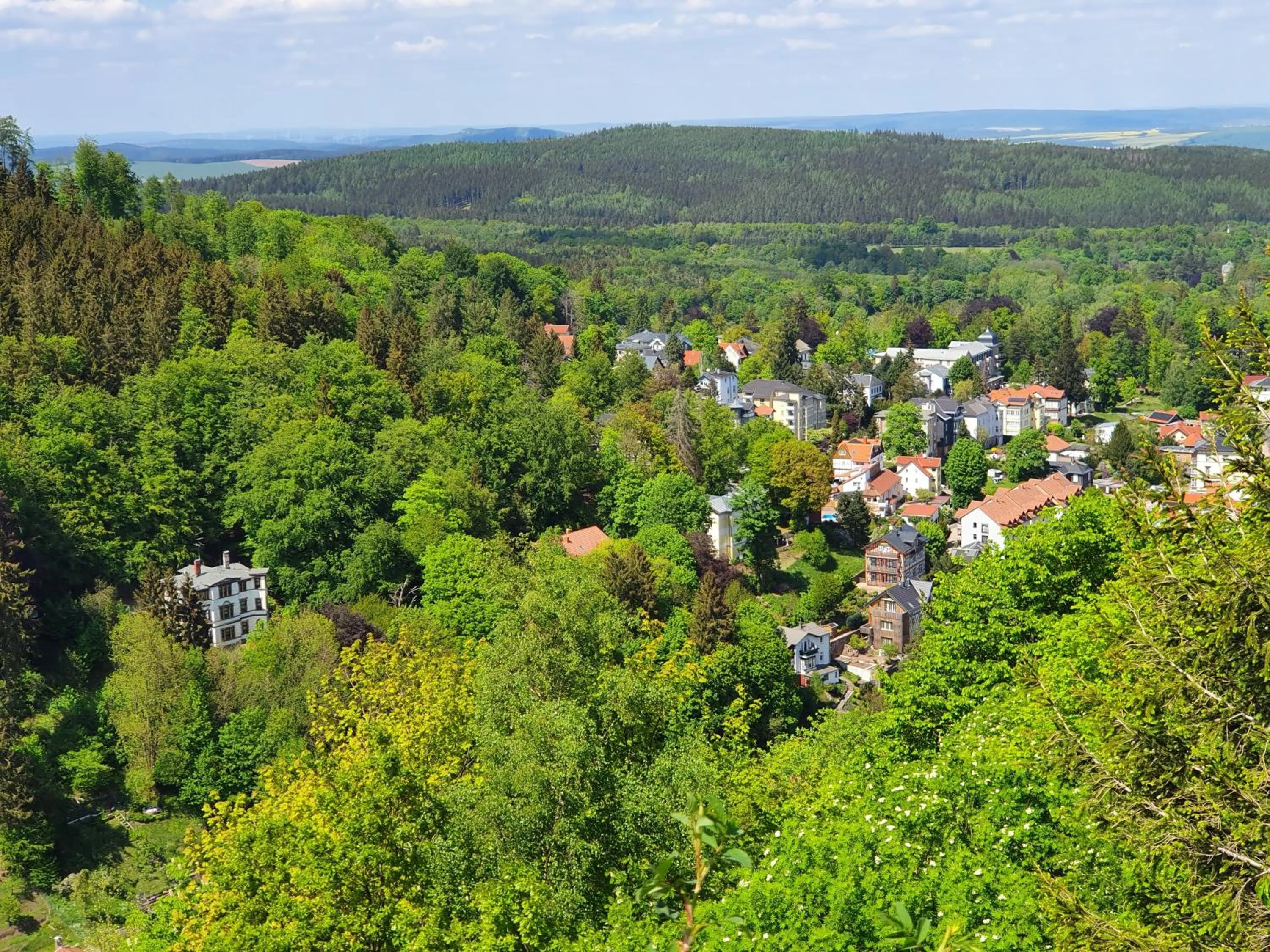 Natural landscape in Waldhotel Friedrichroda