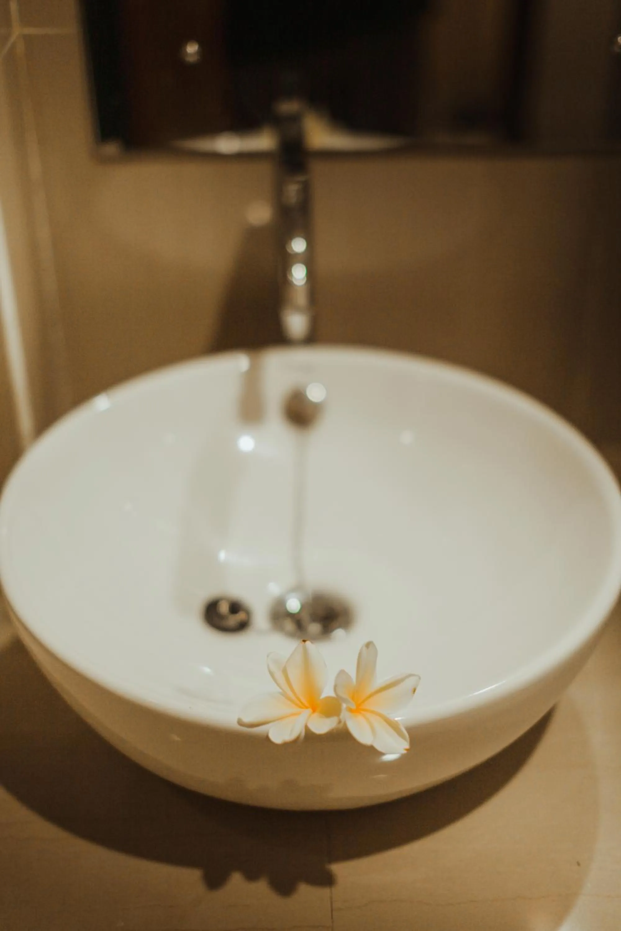 Toilet in panfila hotel