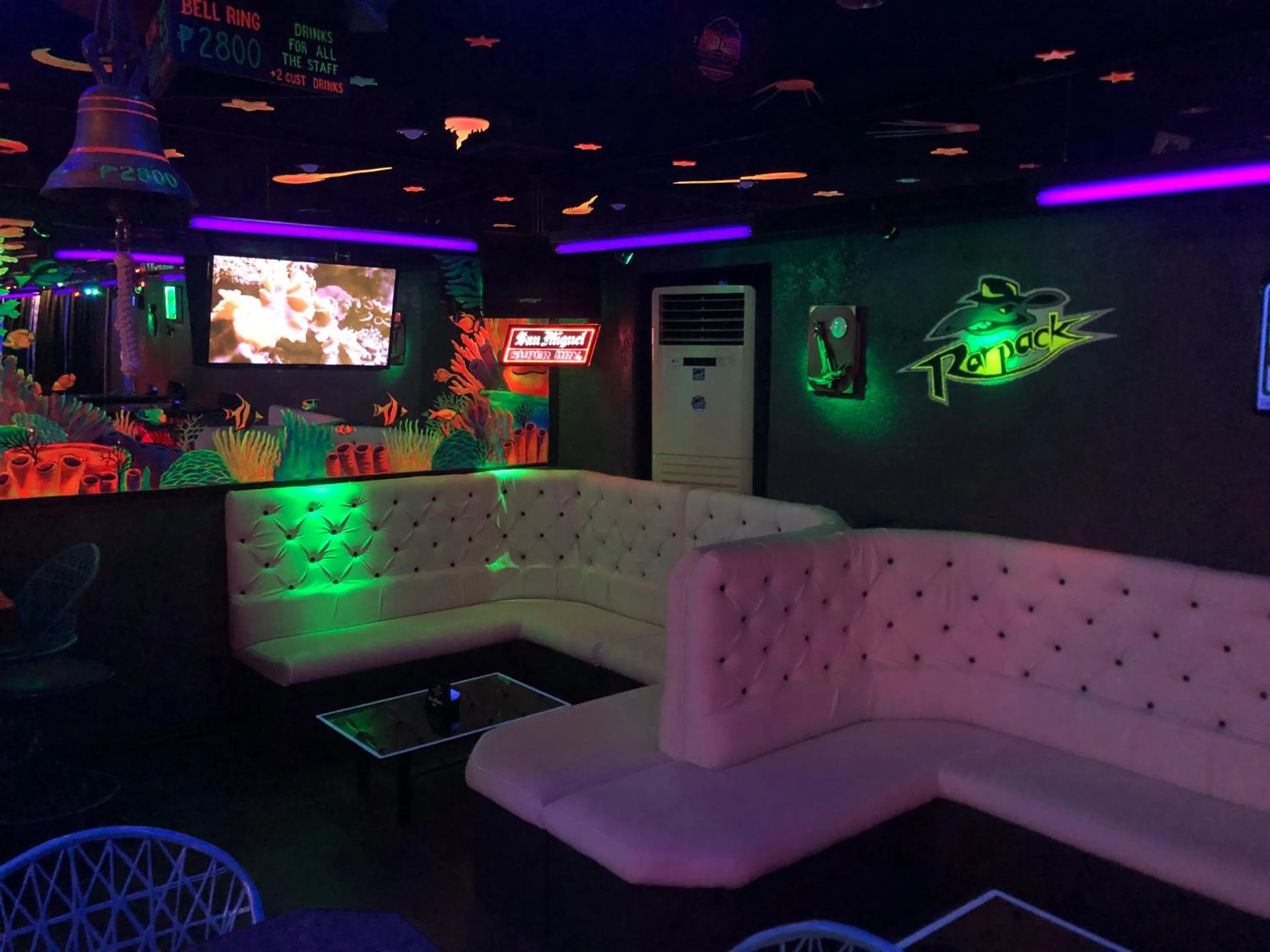 Nightclub / DJ in Out Back