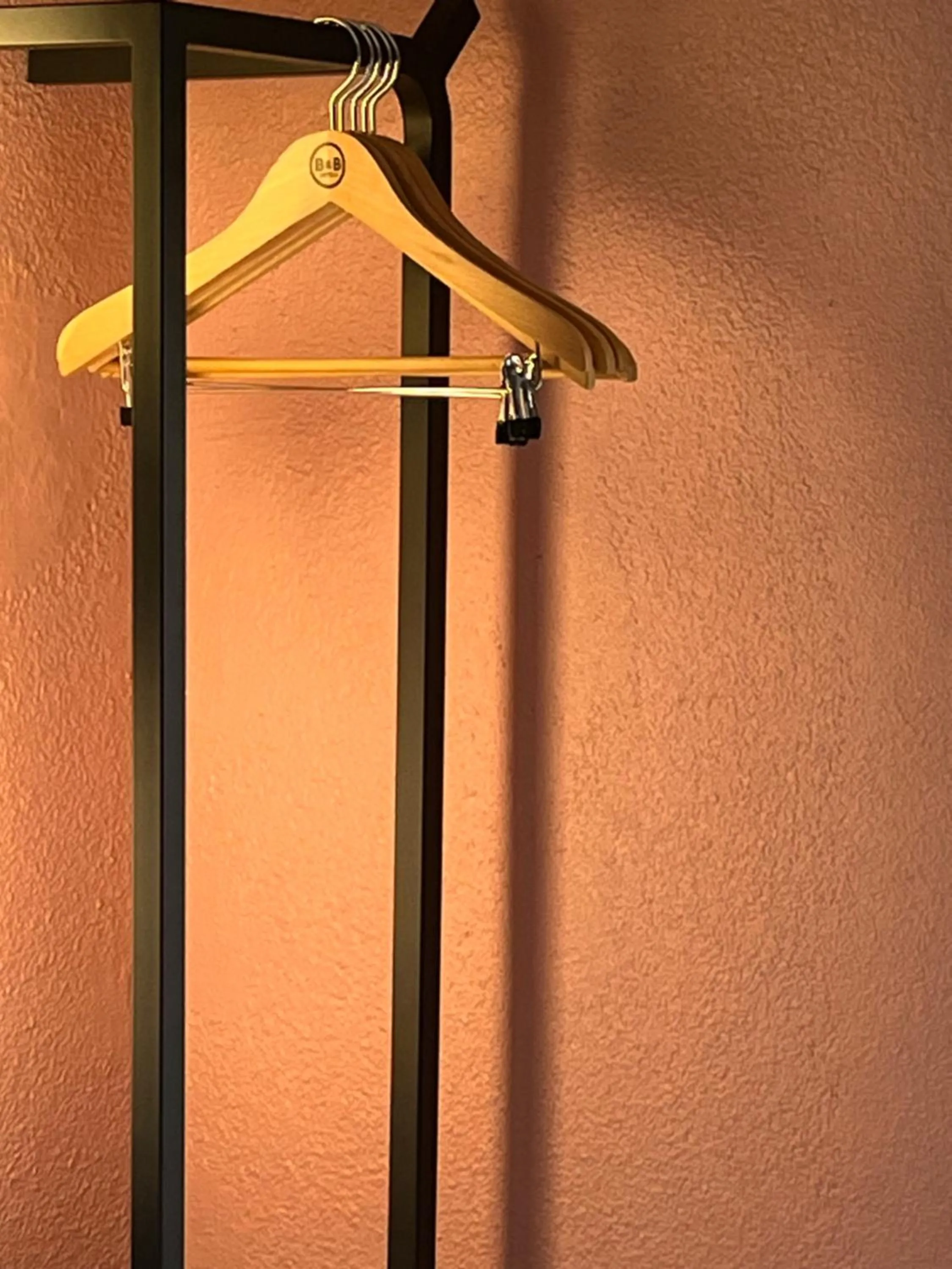 wardrobe in ibis Budget Liege