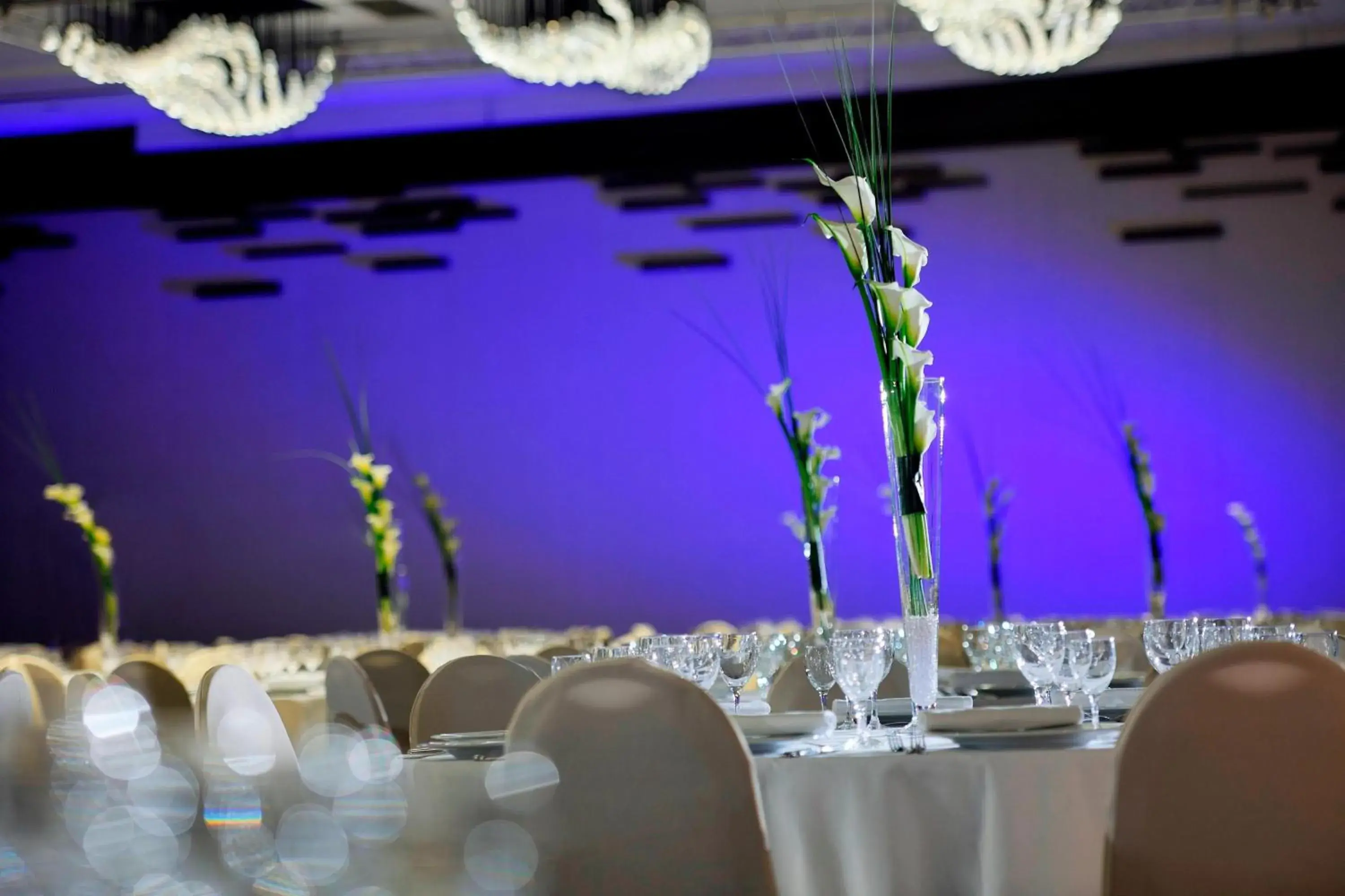 Meeting/conference room, Banquet Facilities in Paris Marriott Rive Gauche Hotel & Conference Center