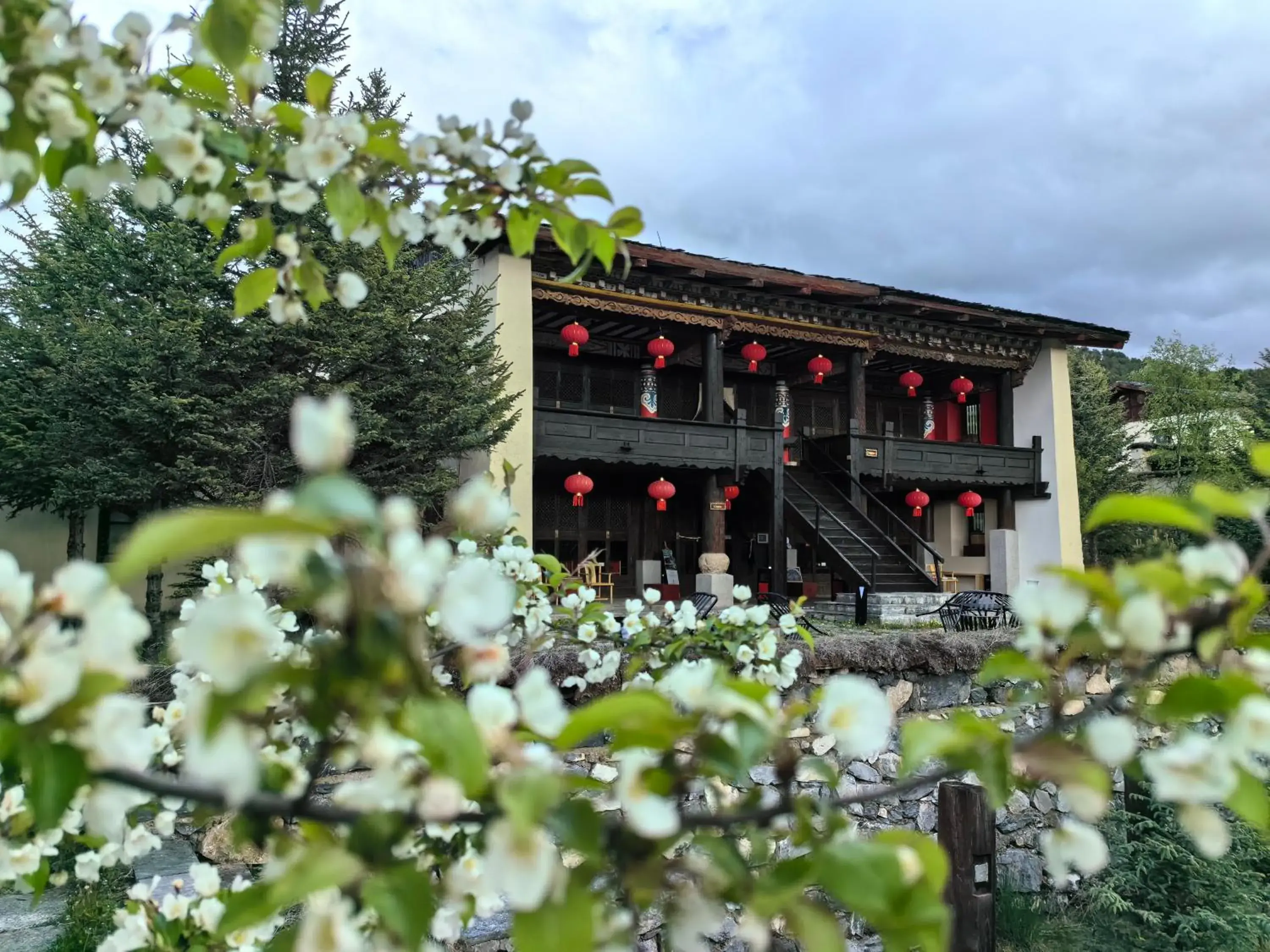 Property building in Banyan Tree Ringha Property building in Banyan Tree Ringha