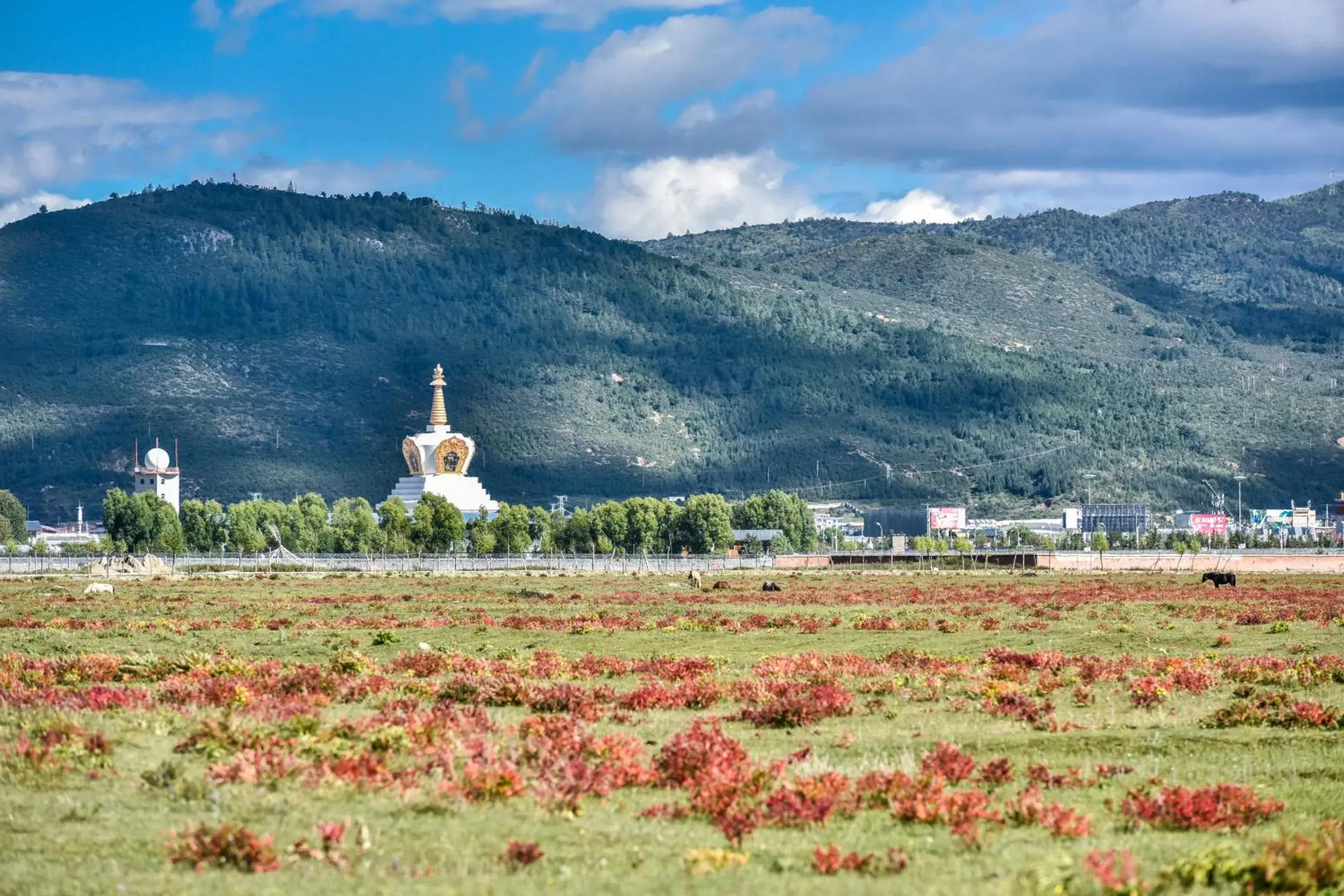 Property building in Banyan Tree Ringha Property building in Banyan Tree Ringha