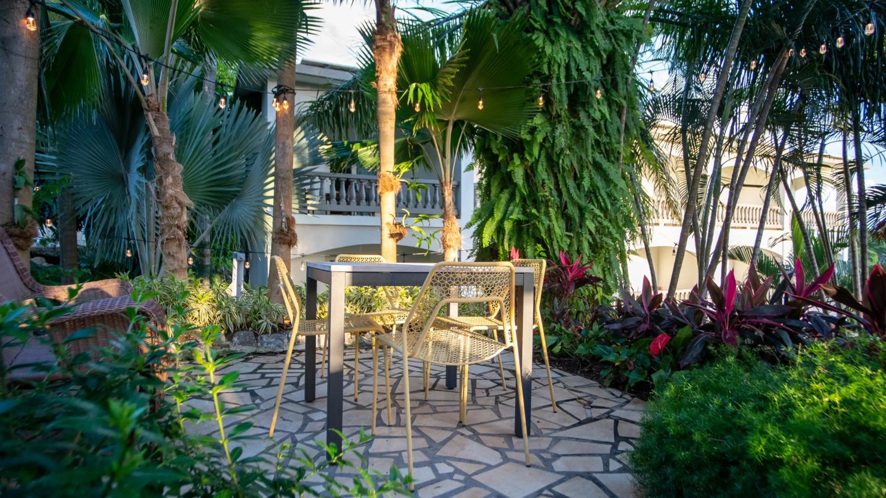 Garden in Lazy Parrot Inn