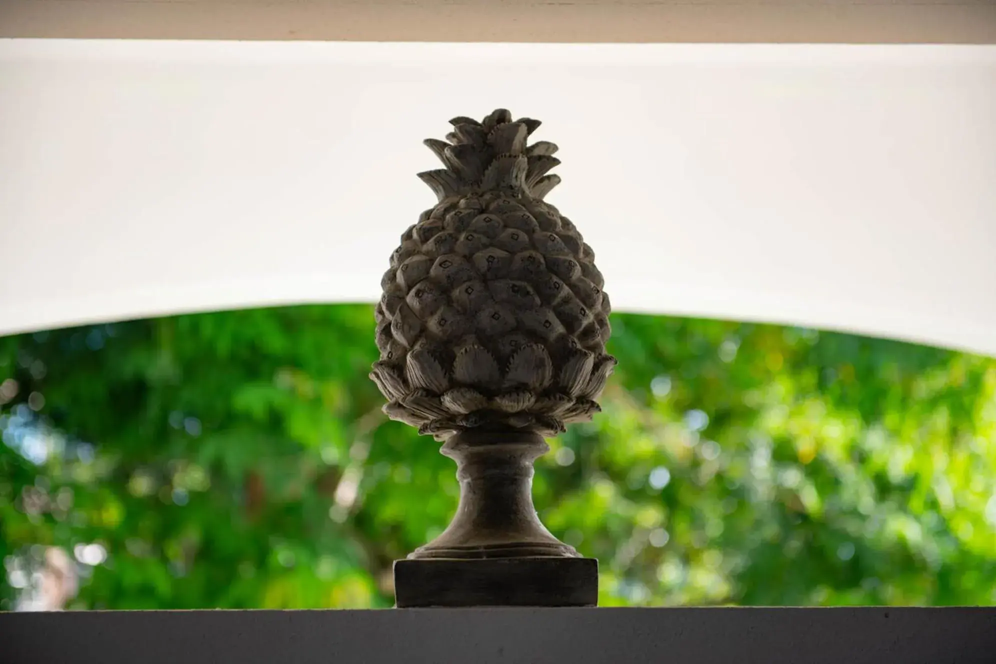 Property building in Lazy Parrot Inn Property building in Lazy Parrot Inn