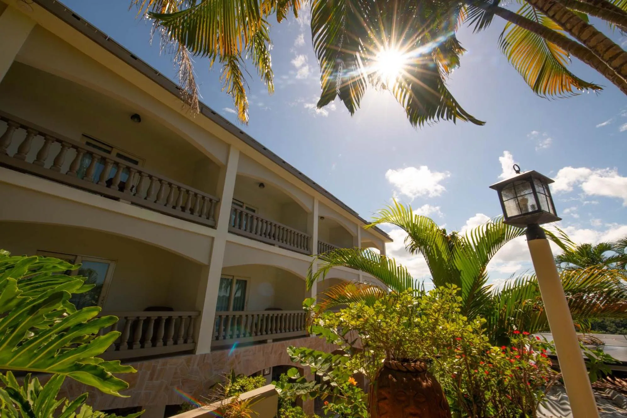 Property building in Lazy Parrot Inn