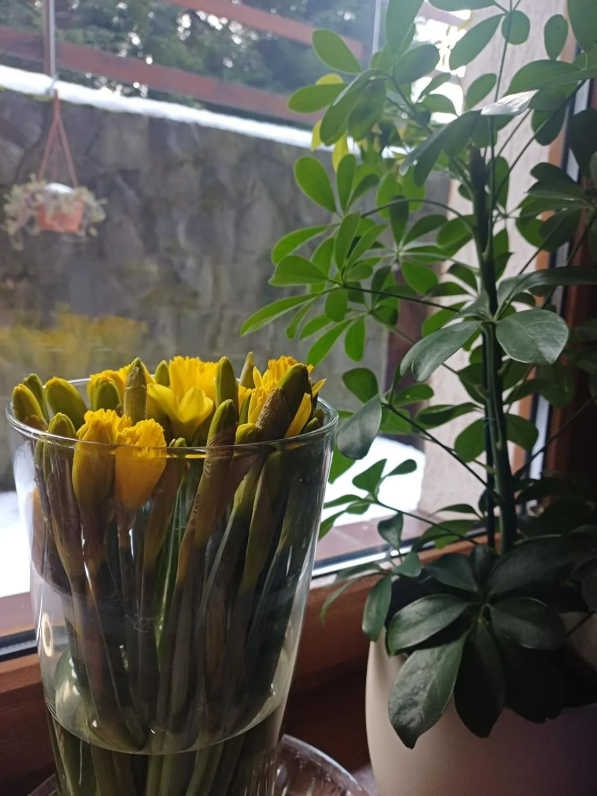 Property building in Rezydencja Izabella