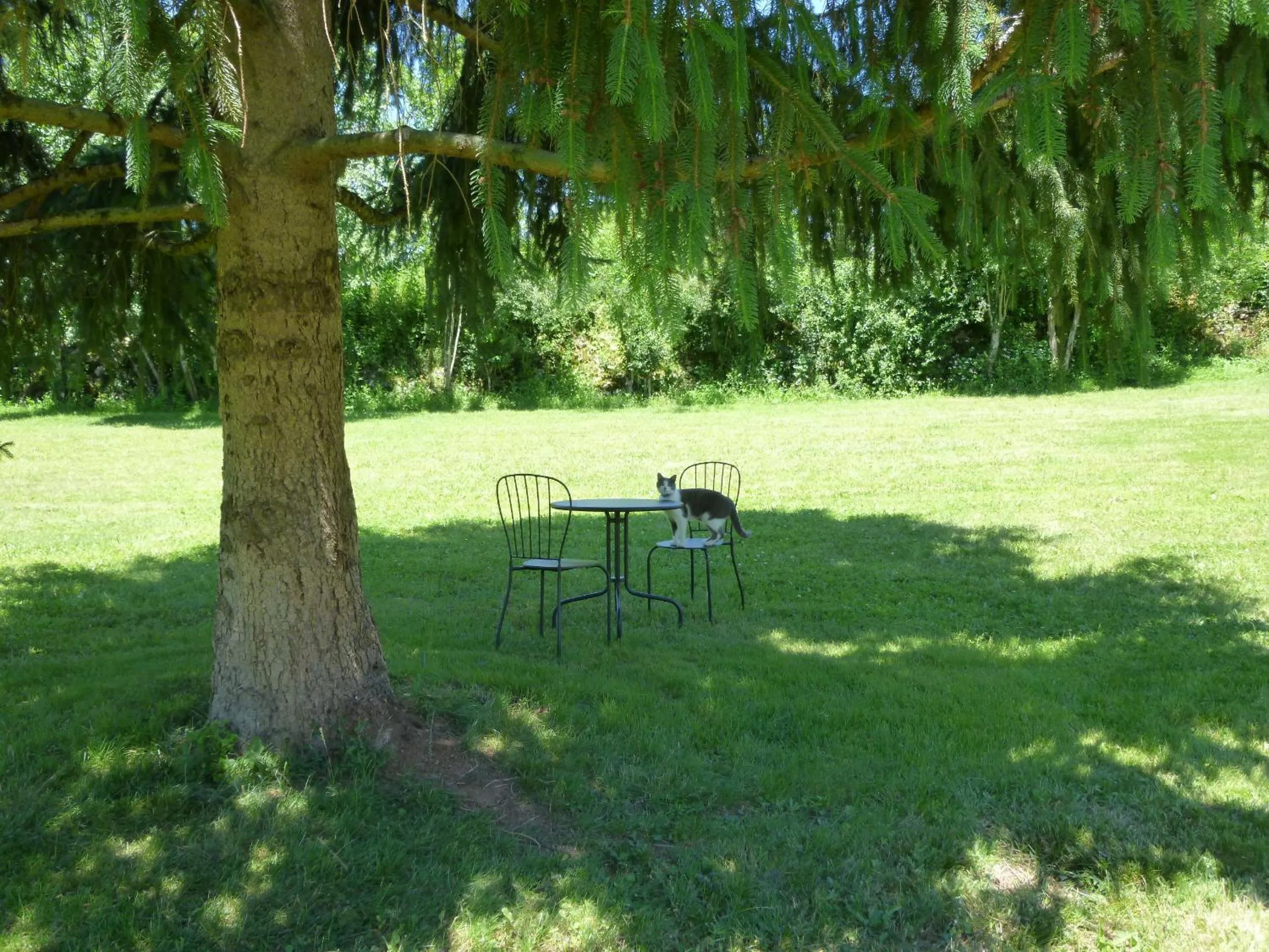 Pets in Au Mas de Gamet