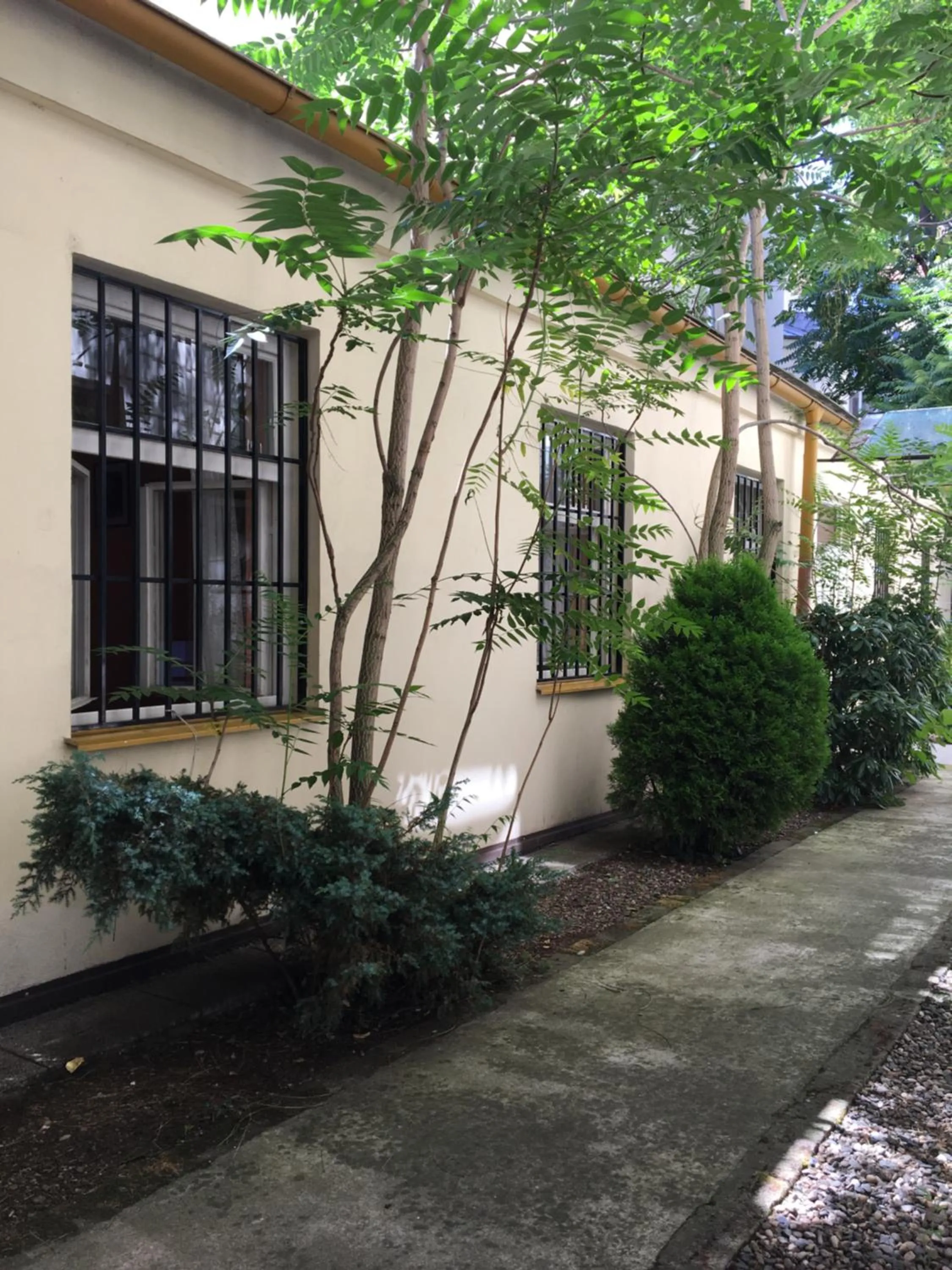 Garden in Pension City Center