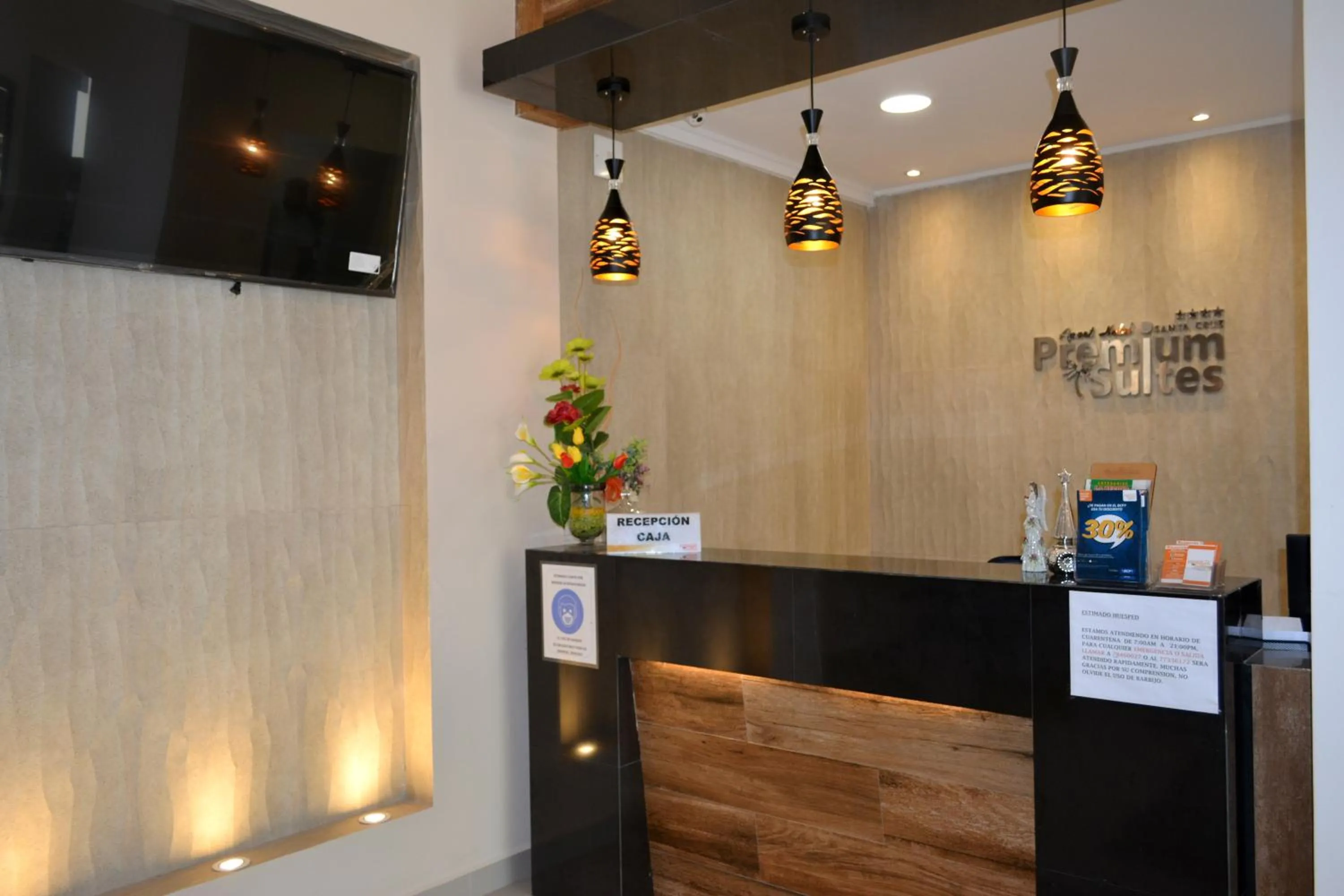 TV and multimedia in Premium Suites Deluxe Aparthotel Equipetrol