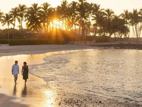 Fairmont Orchid Fairmont Orchid