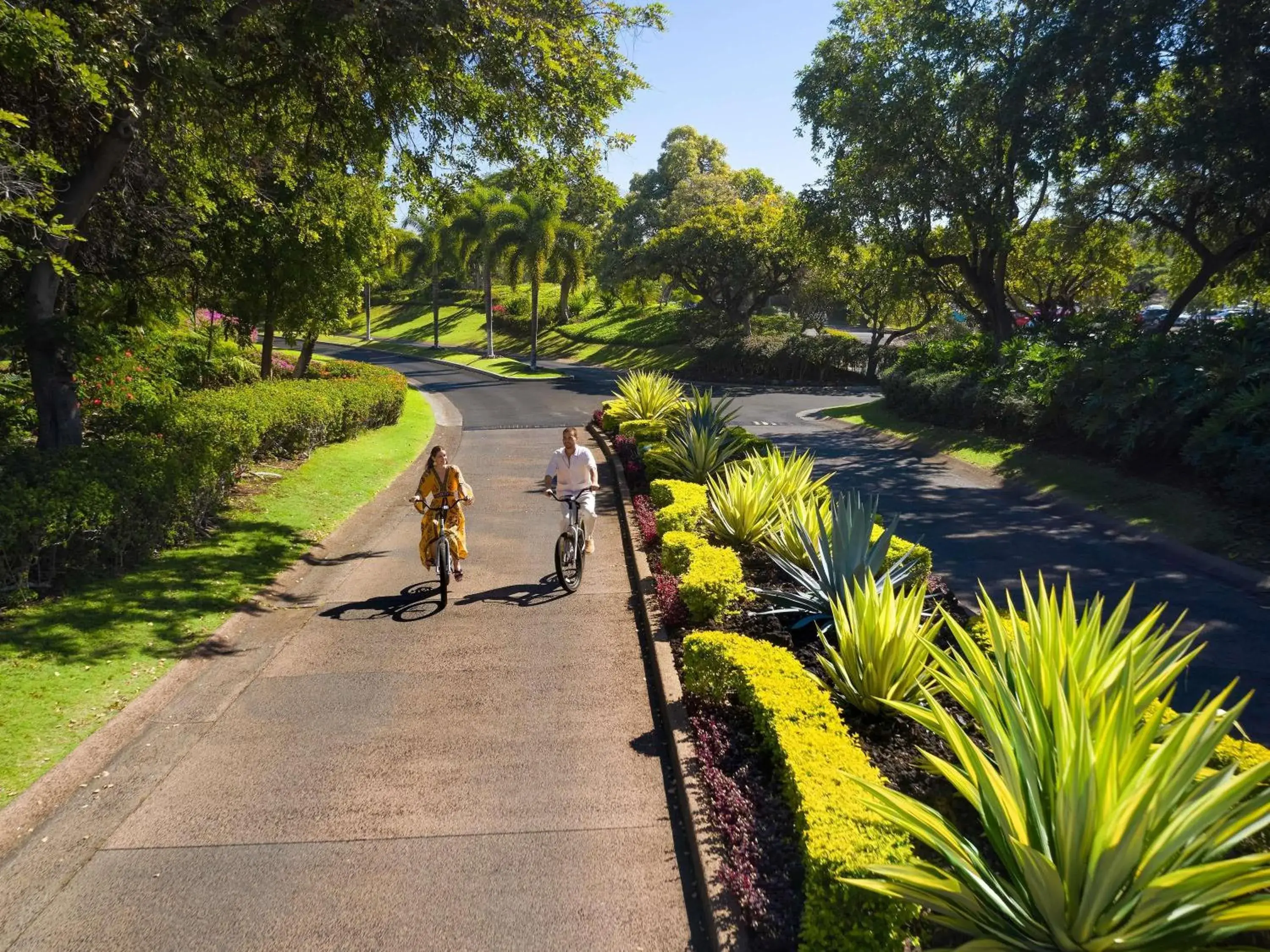 Fitness centre/facilities in Fairmont Orchid Fitness centre/facilities in Fairmont Orchid