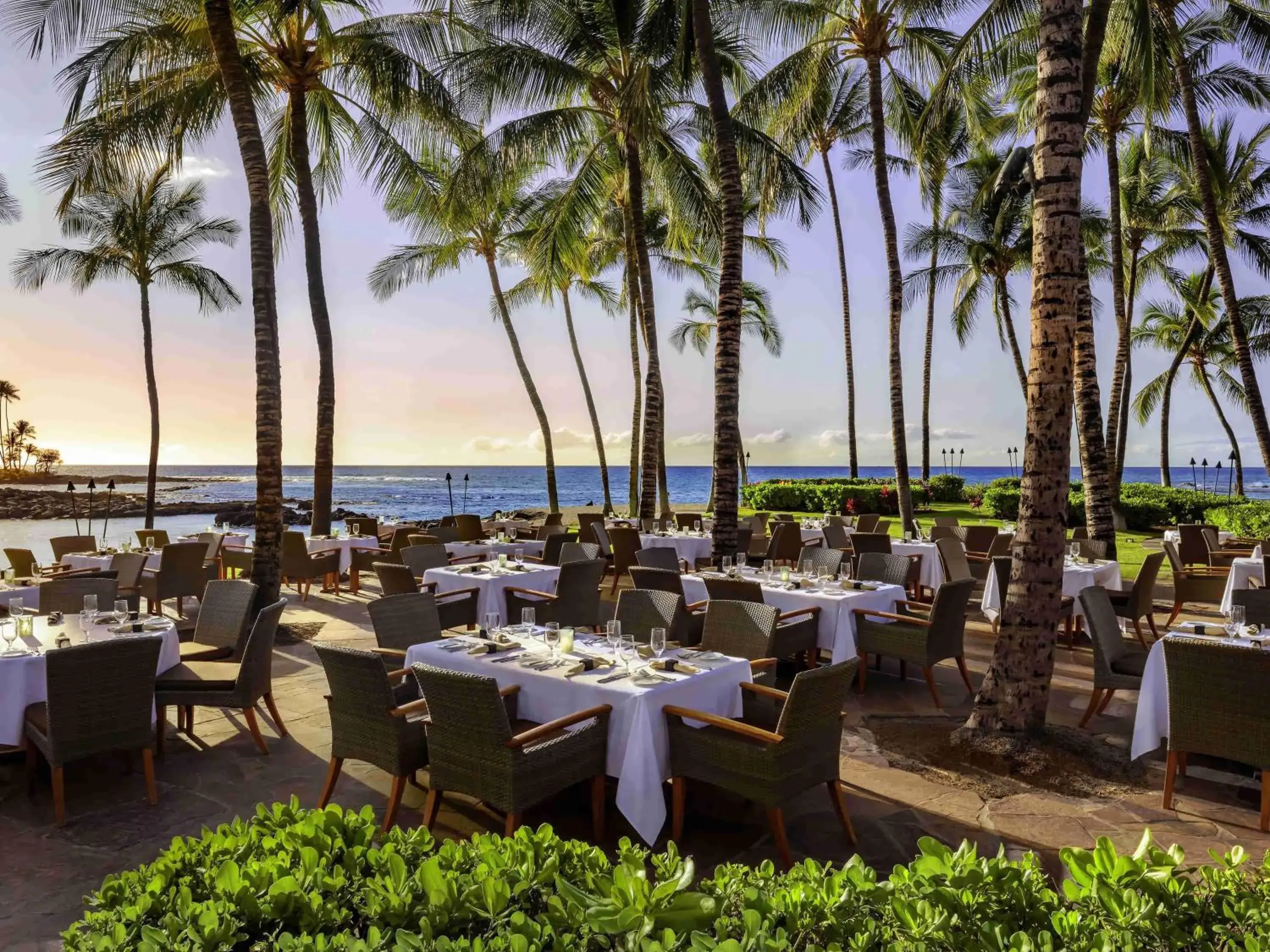 Restaurant/places to eat in Fairmont Orchid Restaurant/places to eat in Fairmont Orchid