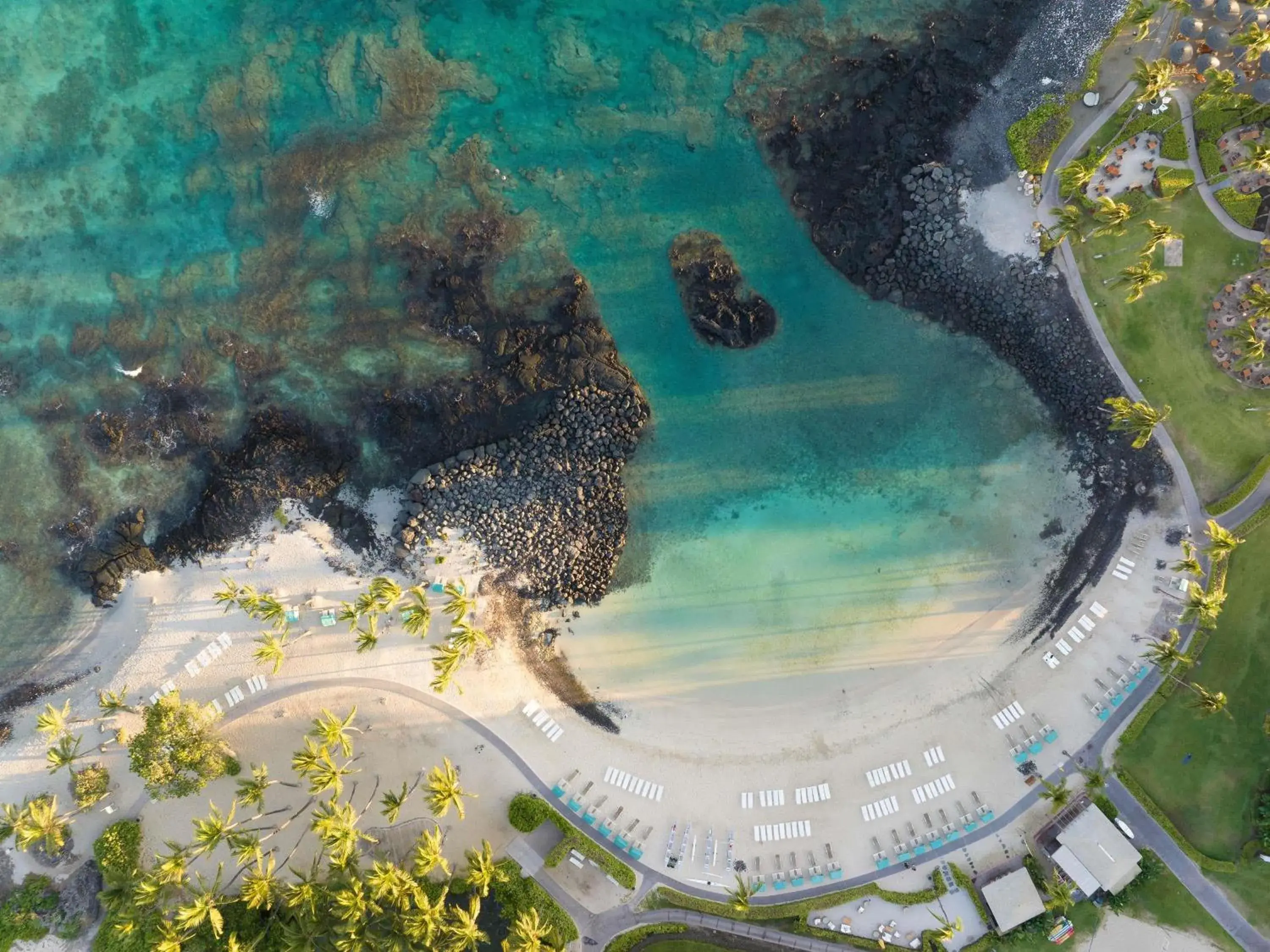 Restaurant/places to eat in Fairmont Orchid Restaurant/places to eat in Fairmont Orchid