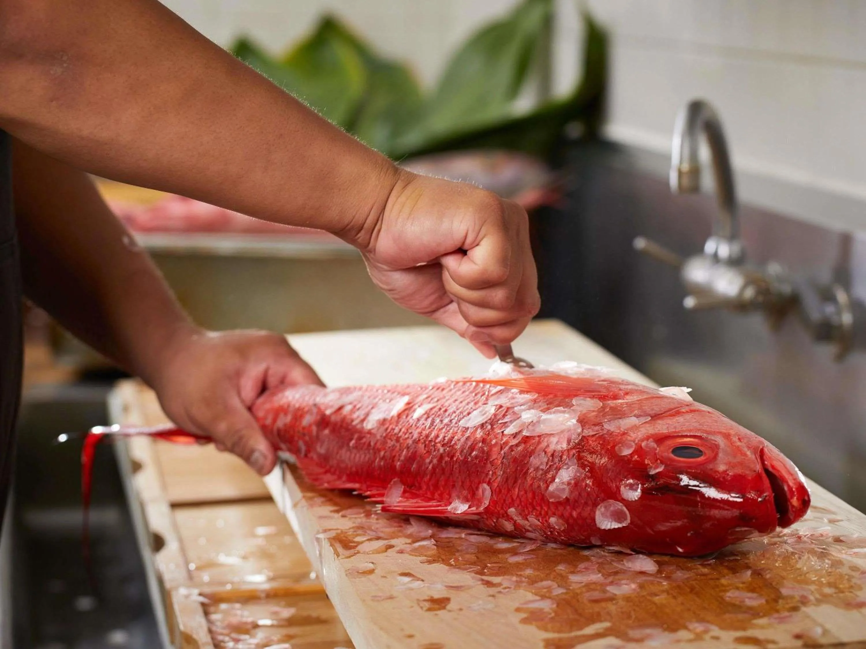 Restaurant/places to eat in Fairmont Kea Lani, Maui