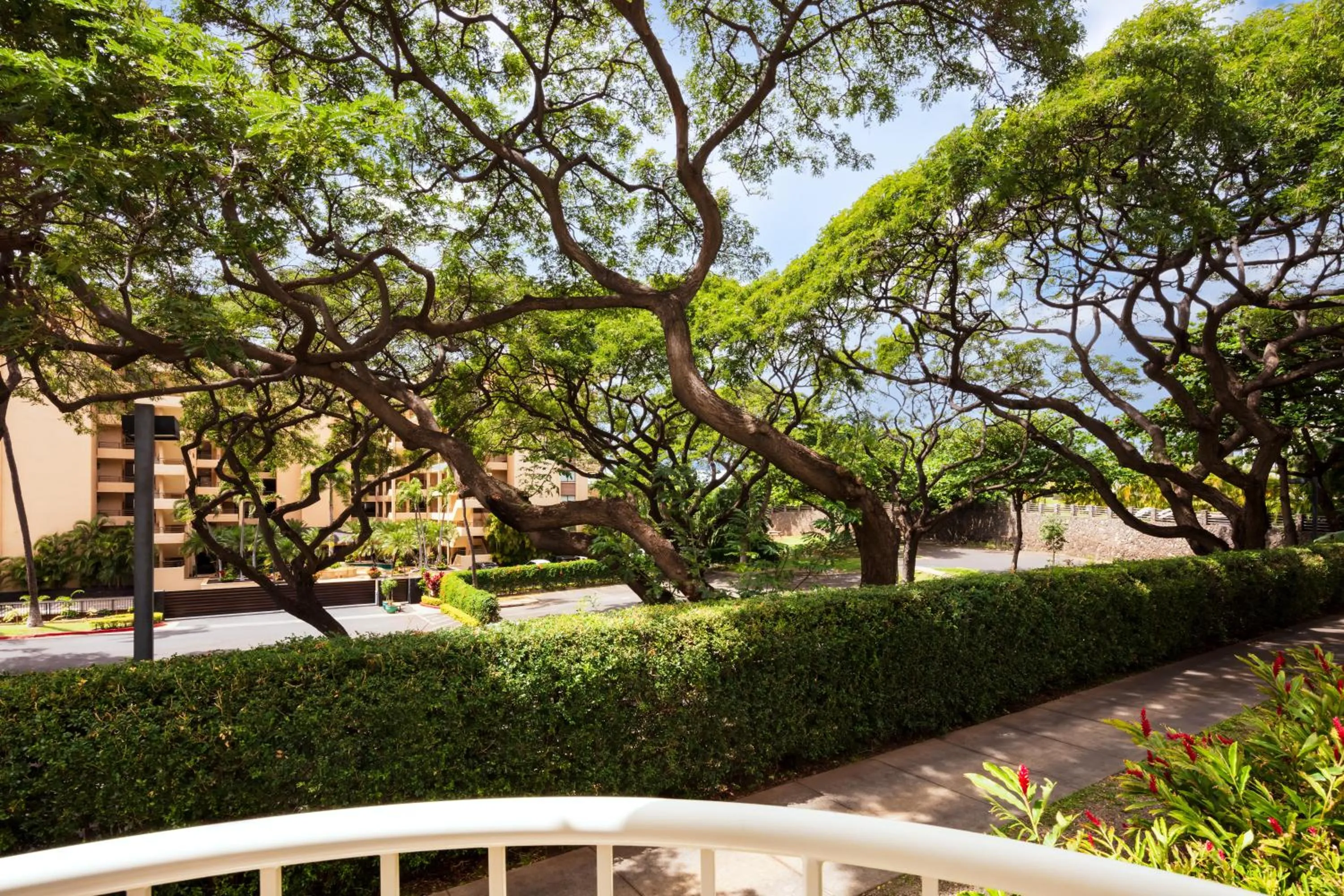 Natural landscape in Fairmont Kea Lani, Maui