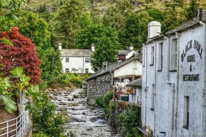 Neighbourhood in Bluebird Lodge