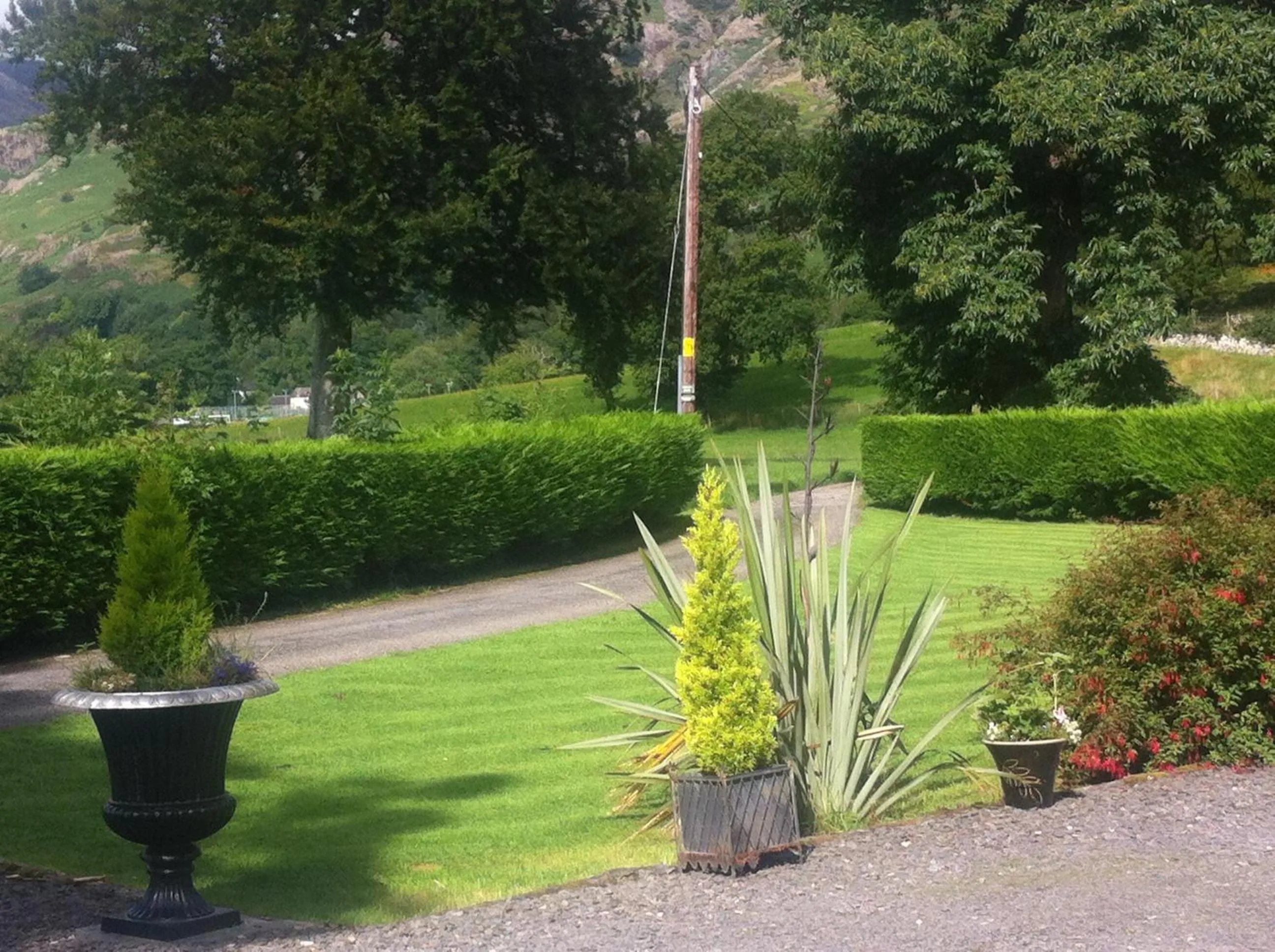 Garden in Bluebird Lodge