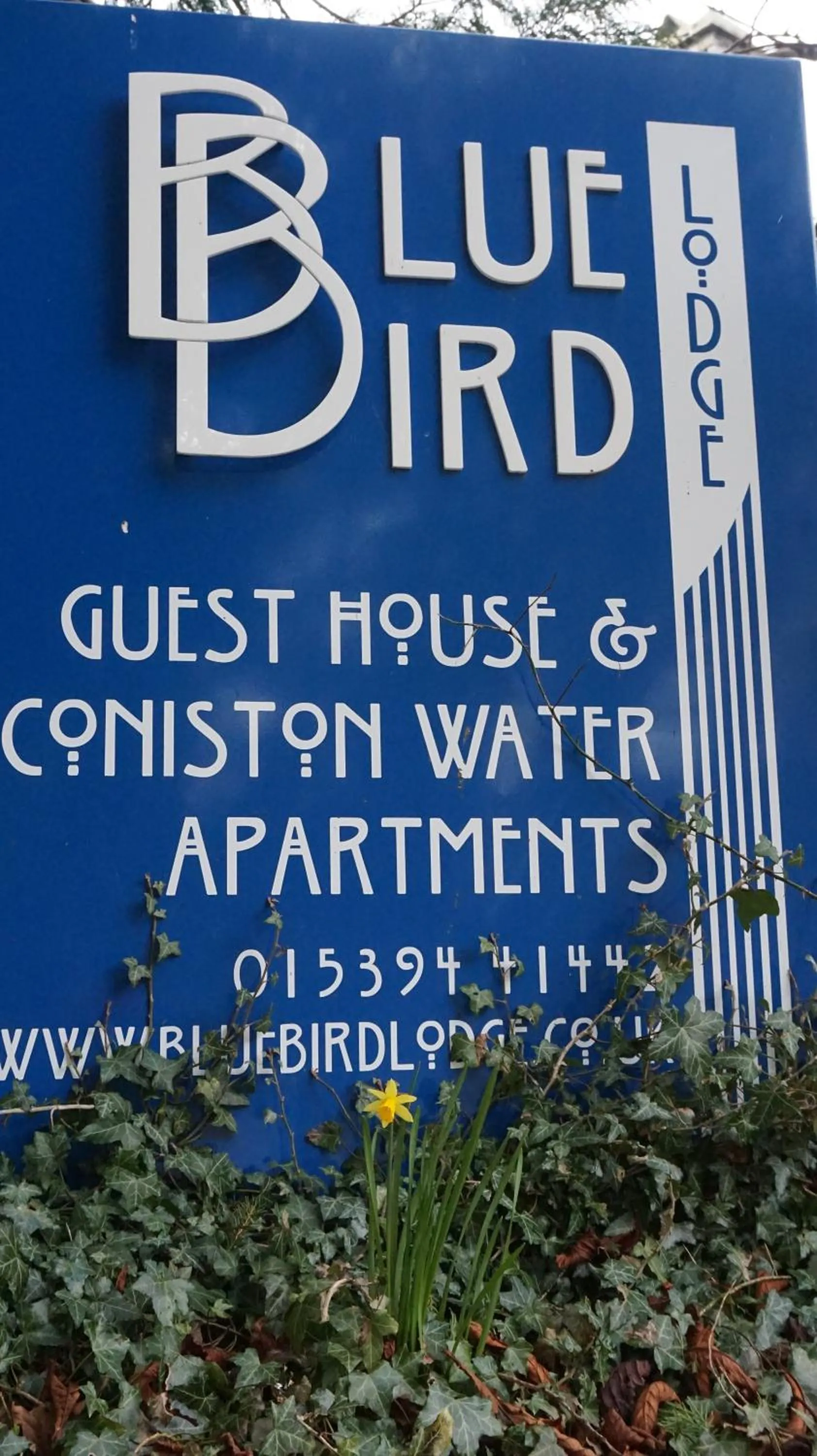 Property logo or sign in Bluebird Lodge