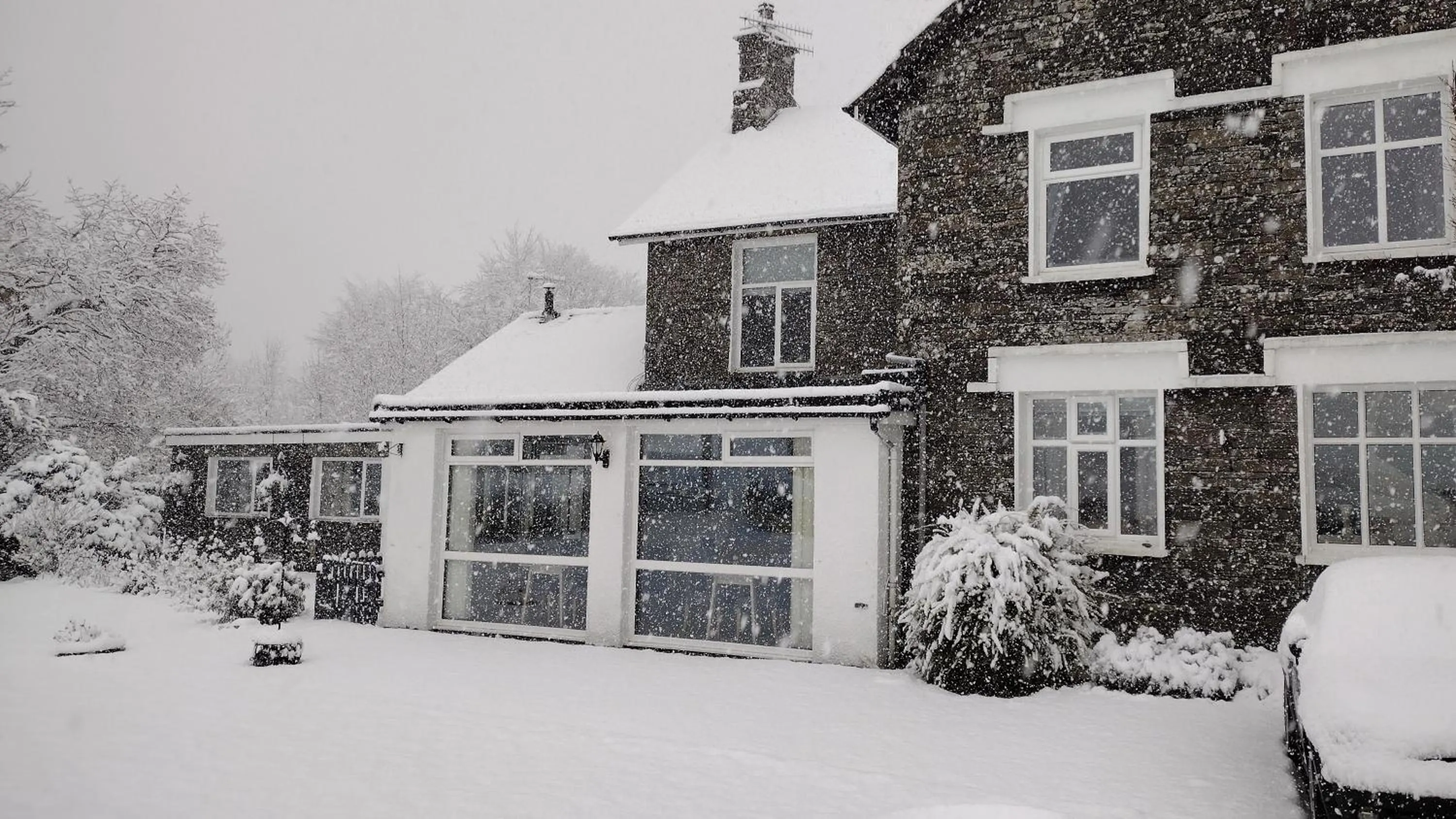Property building in Bluebird Lodge