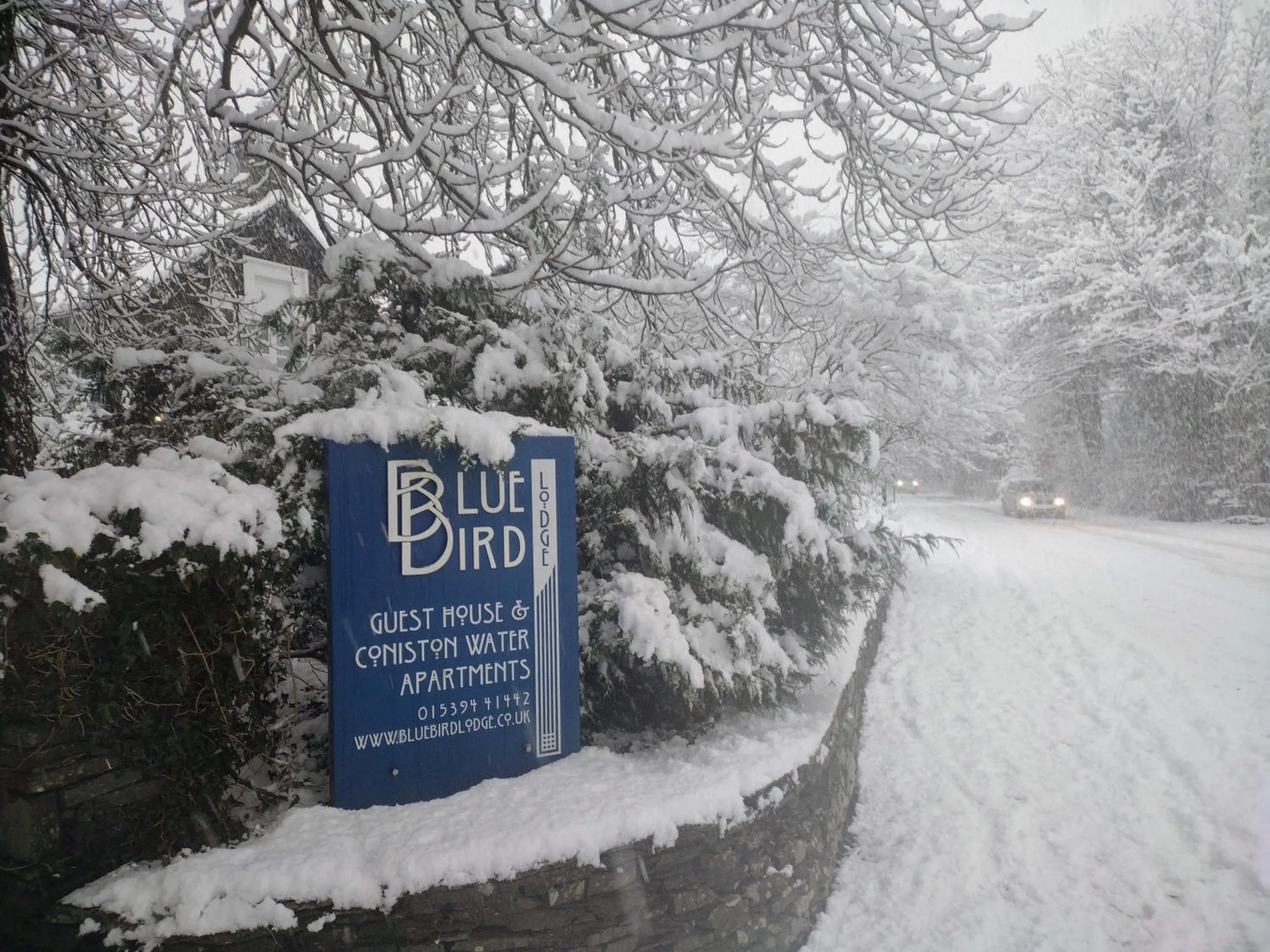 Winter in Bluebird Lodge
