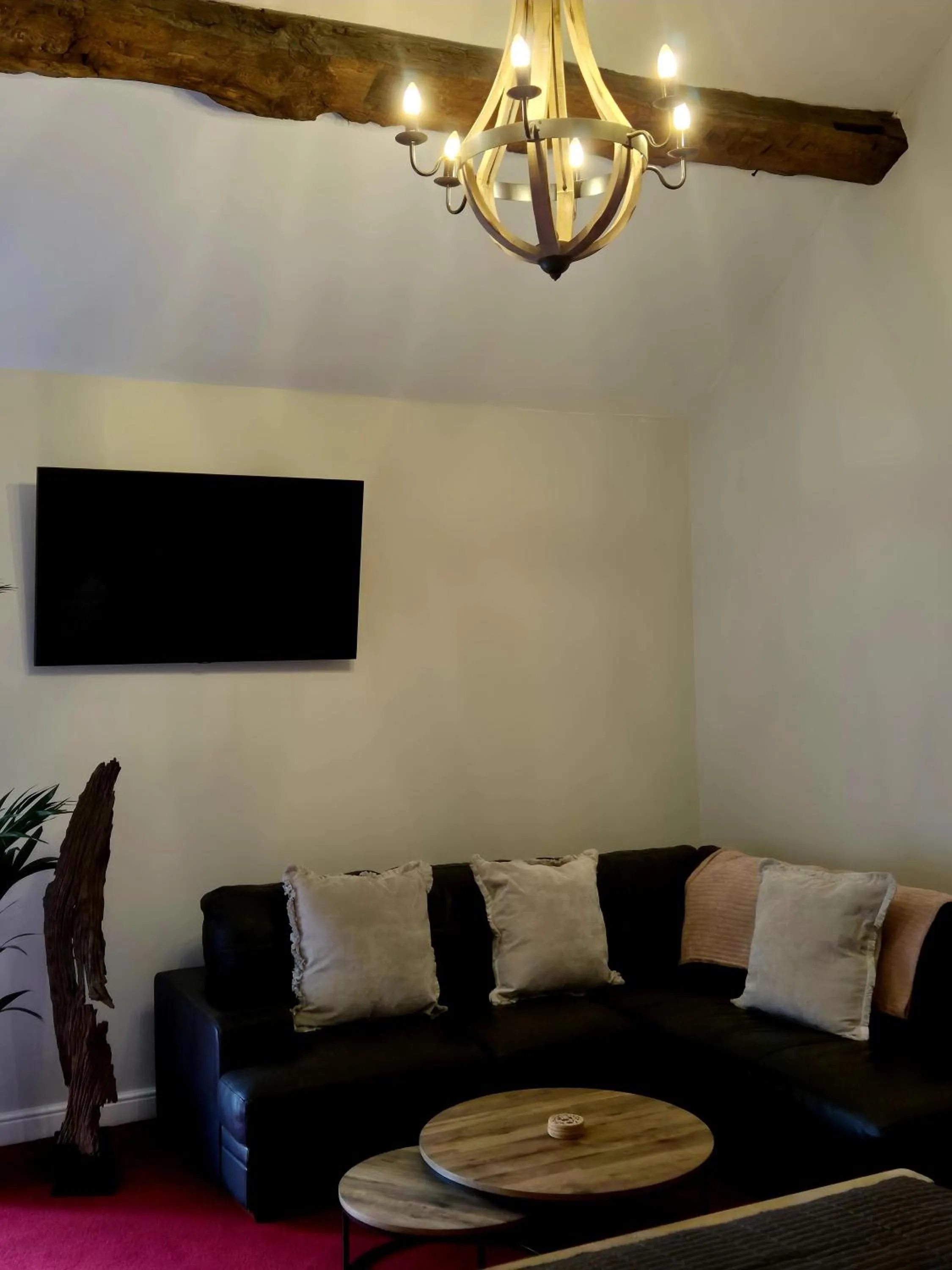 TV and multimedia in The Badger Inn