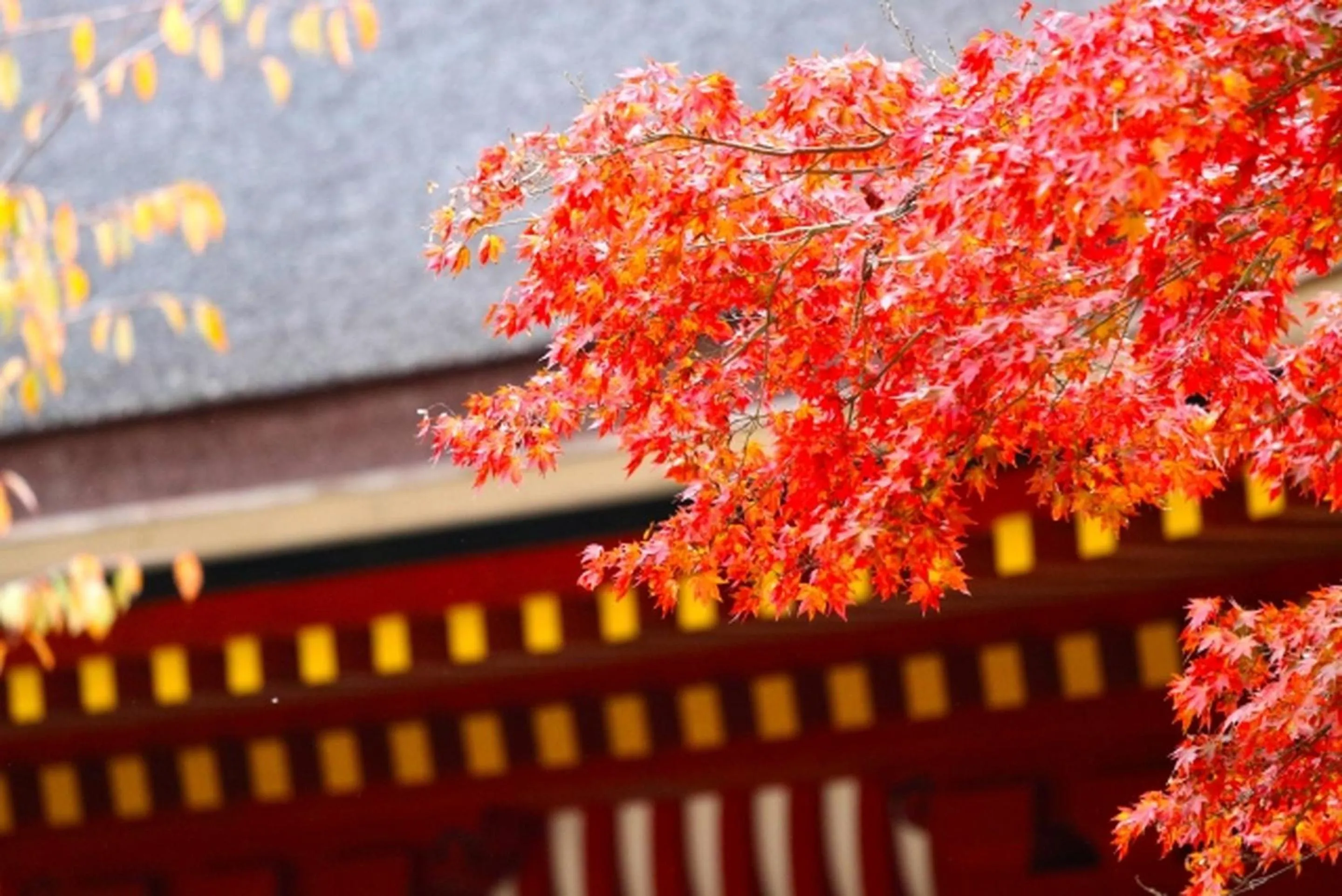 Nearby landmark in Stay SAKURA Kyoto Gion Miyagawacho