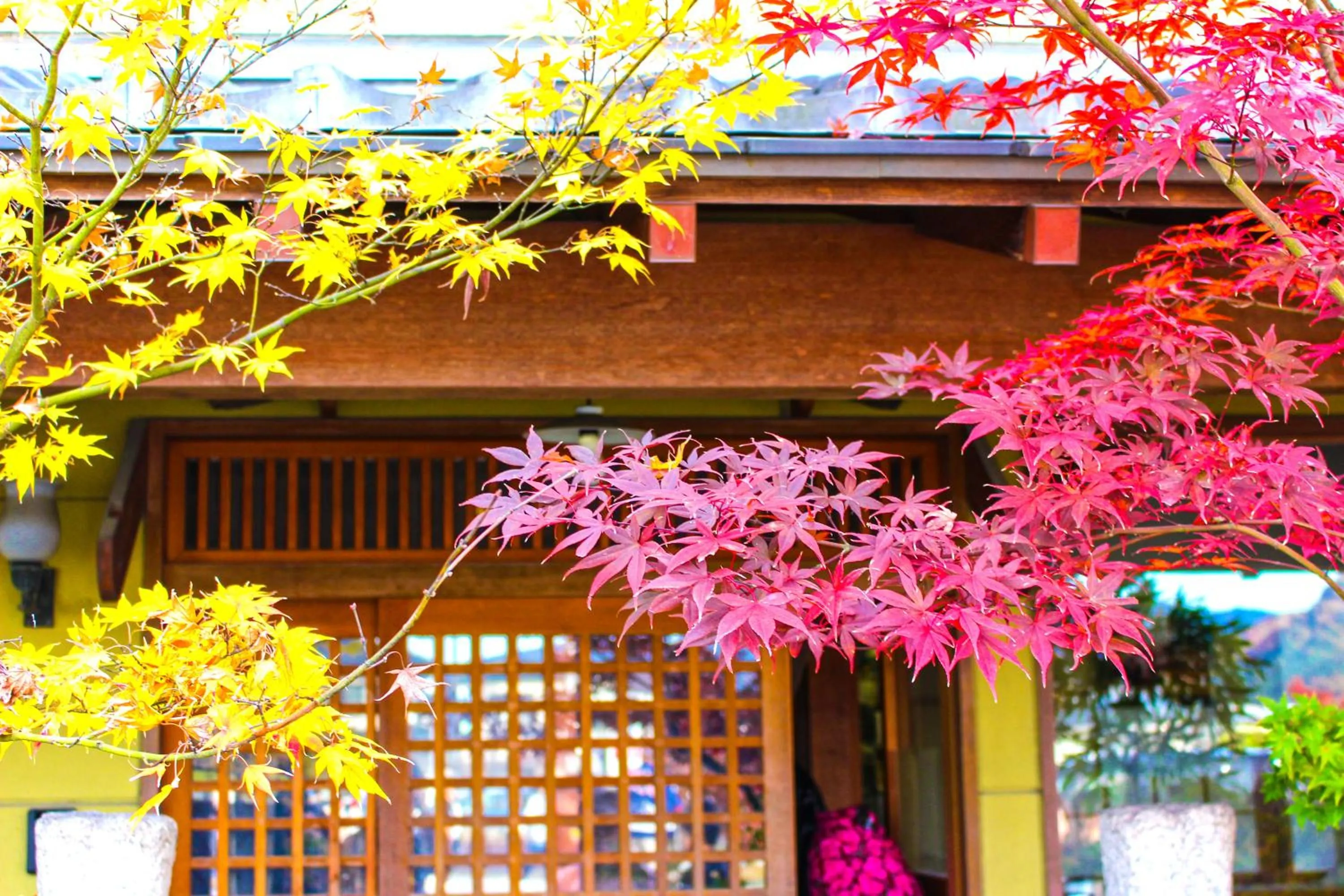 Nearby landmark in Stay SAKURA Kyoto Kiyomizu Ougi