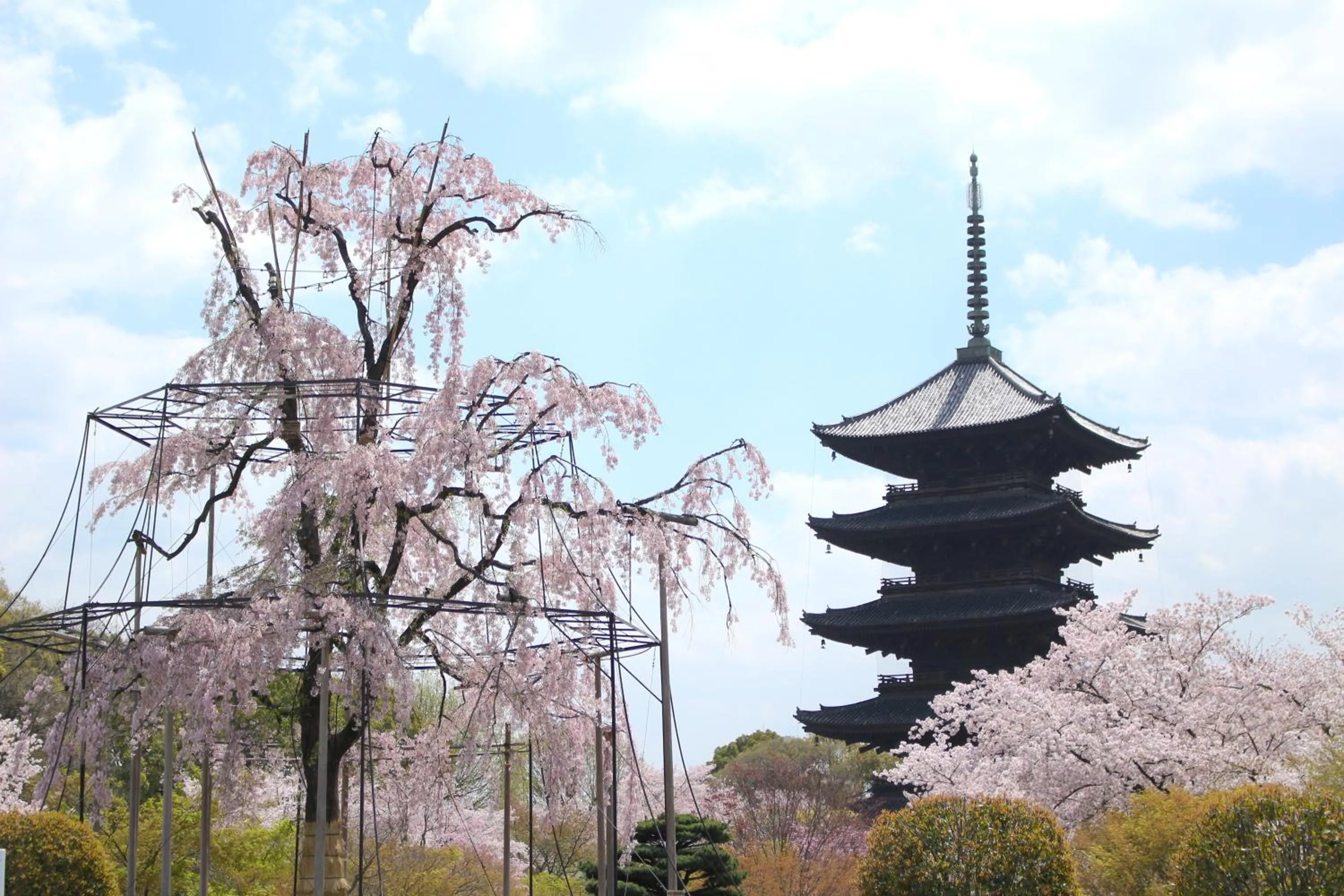 Nearby landmark in Stay SAKURA Kyoto Kiyomizu Ougi