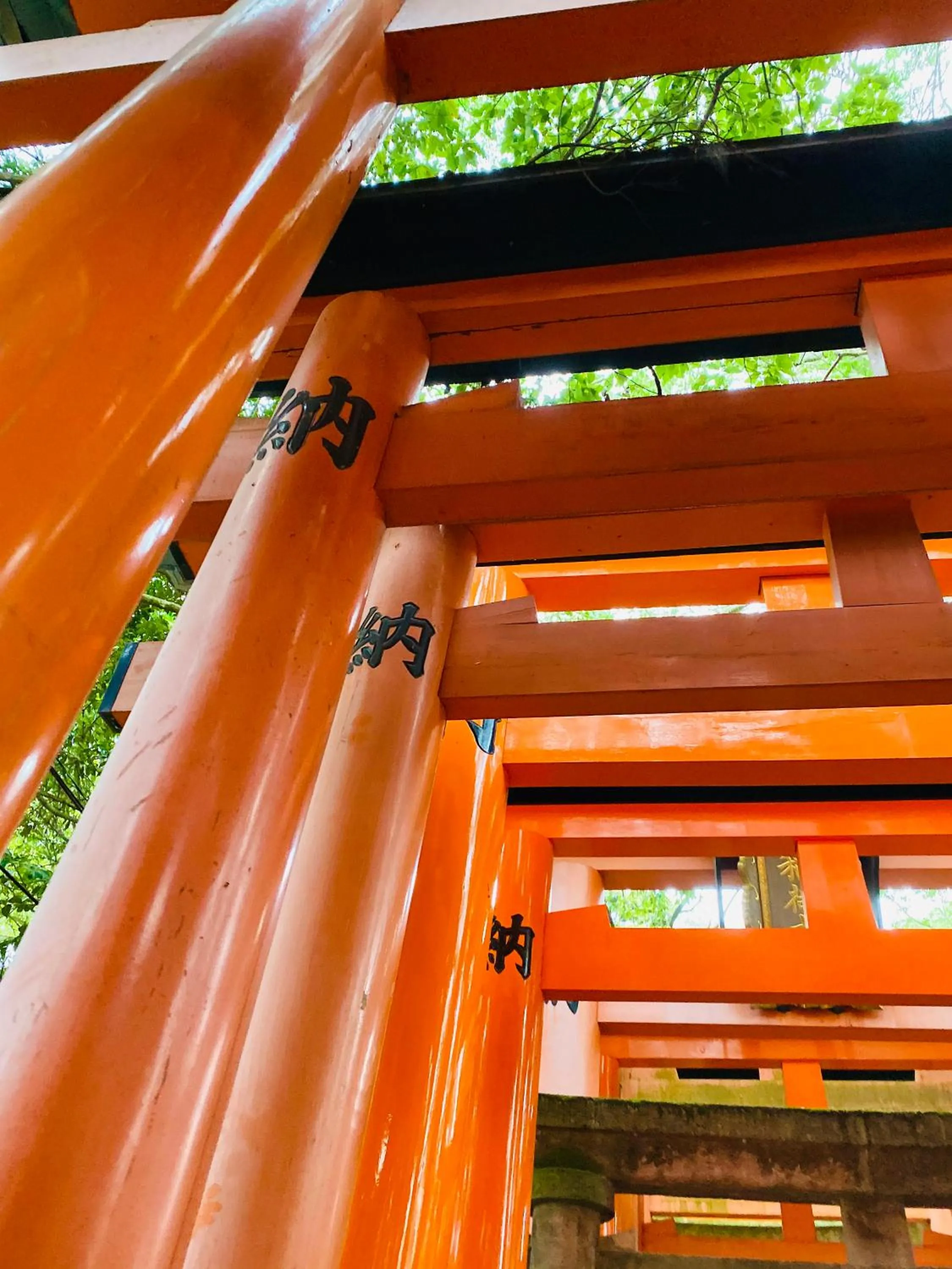 Nearby landmark in Stay SAKURA Kyoto Kiyomizu Ougi