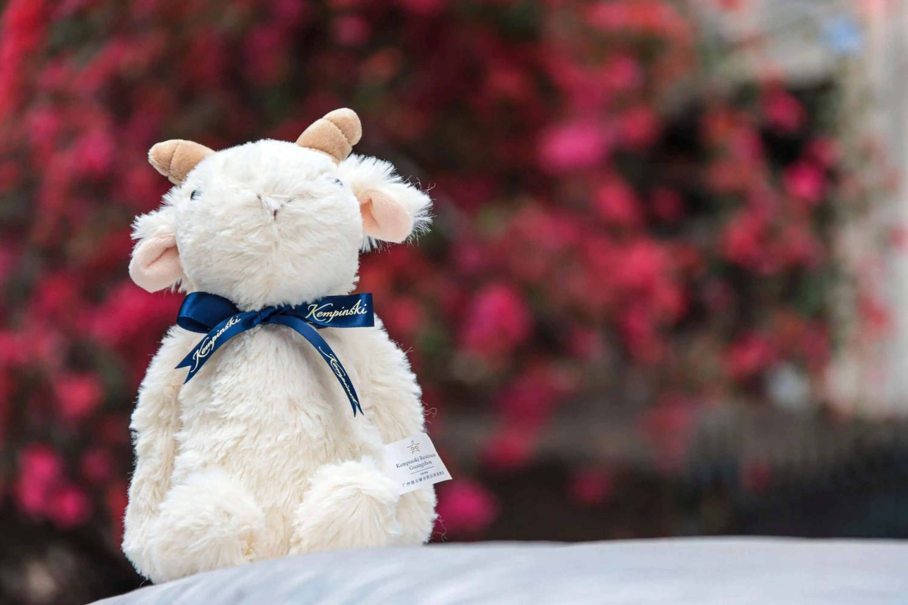 Other in Kempinski Residences Guangzhou