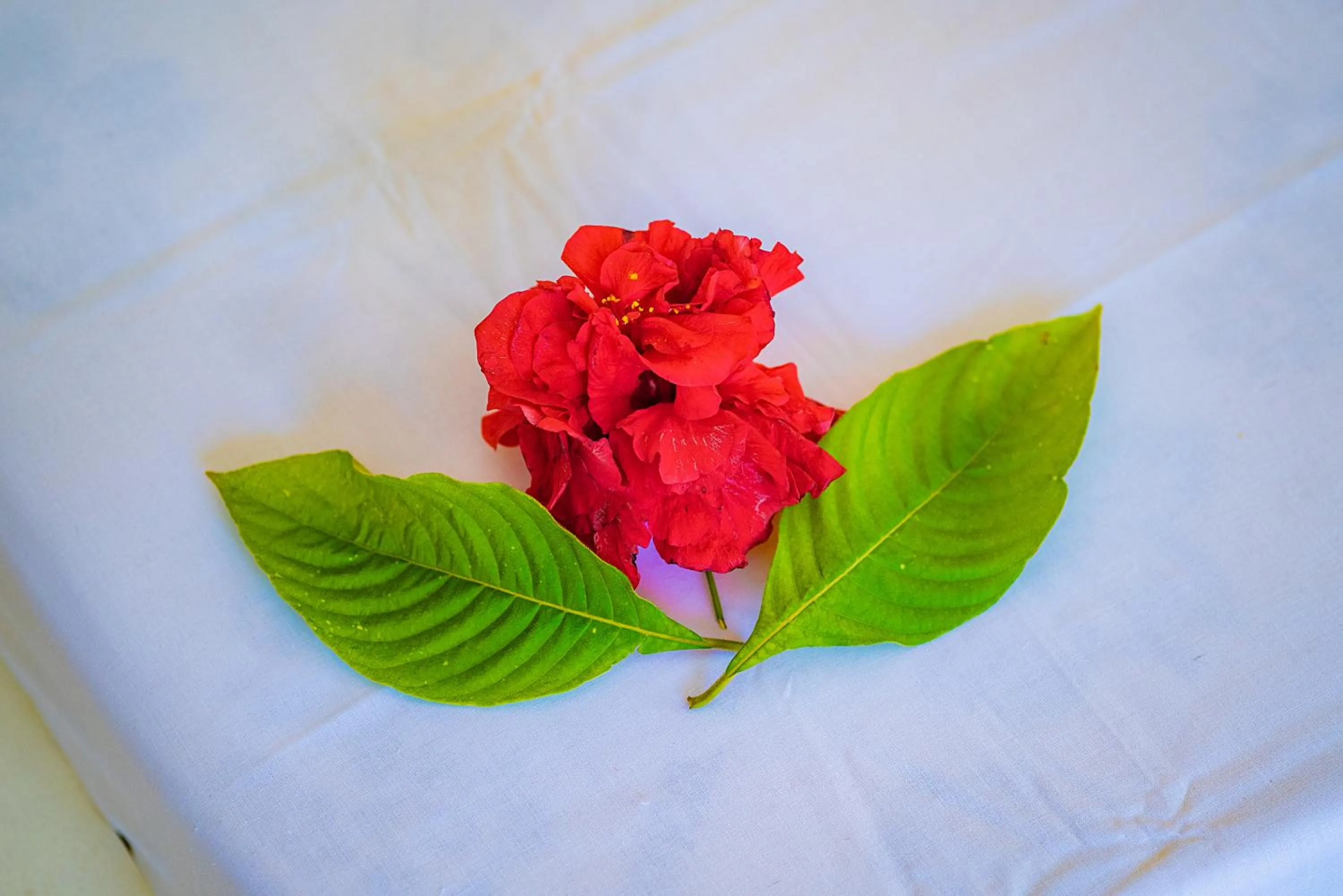 Decorative detail in Cambria Hotel