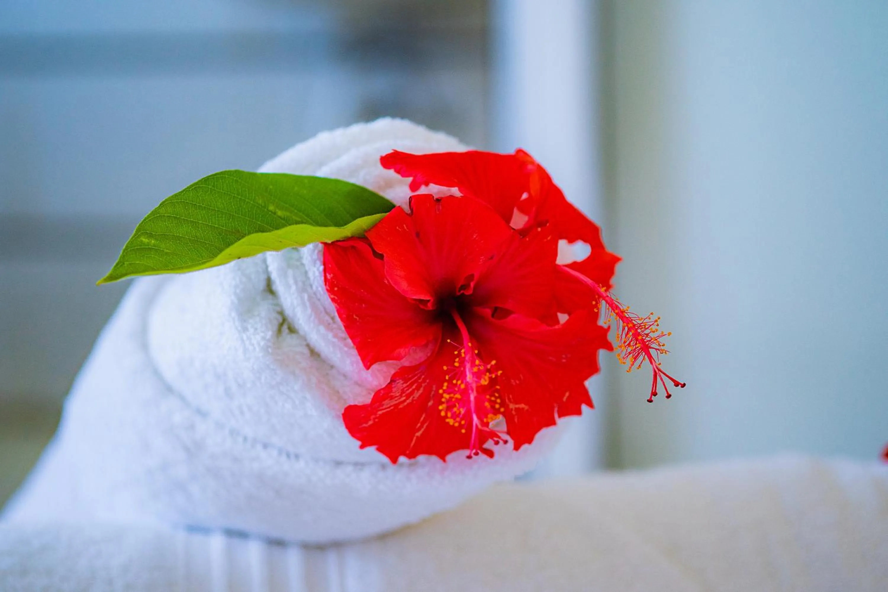 Decorative detail in Cambria Hotel