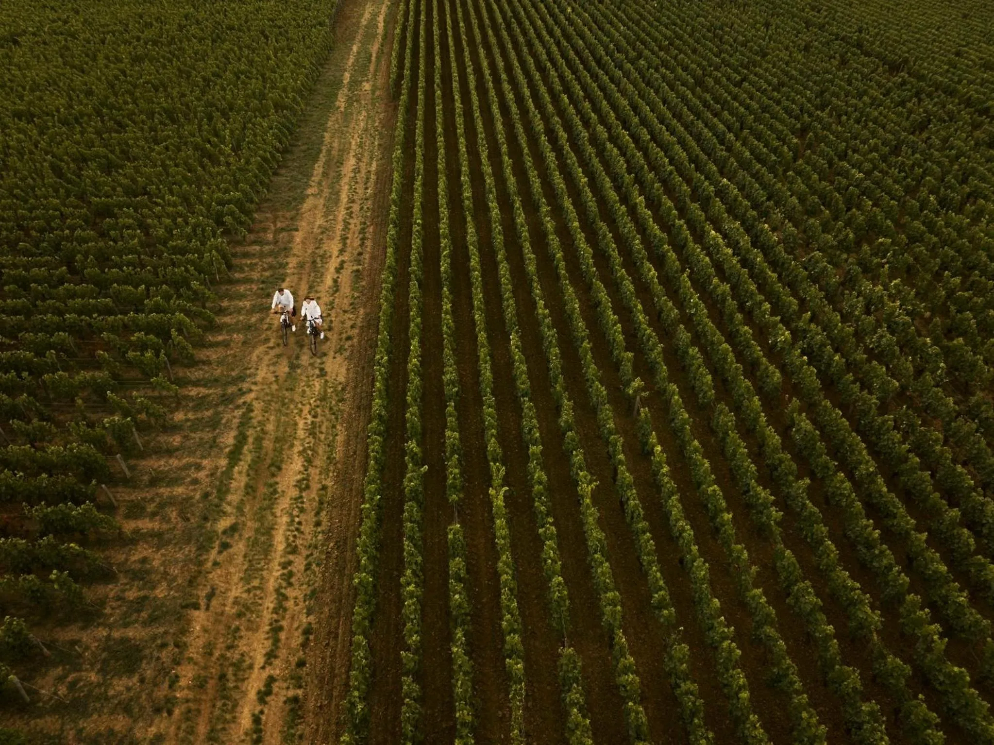 Fitness centre/facilities in COMO Le Montrachet