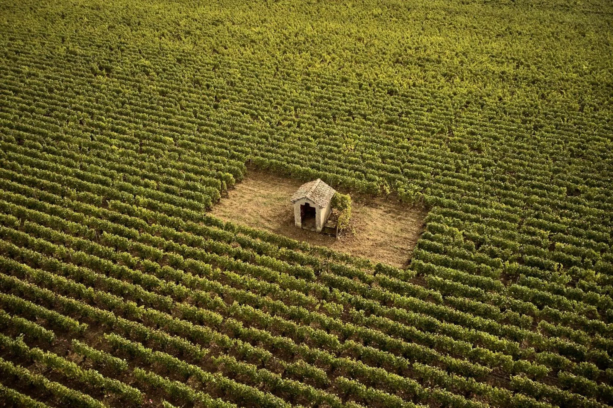 Nearby landmark in COMO Le Montrachet