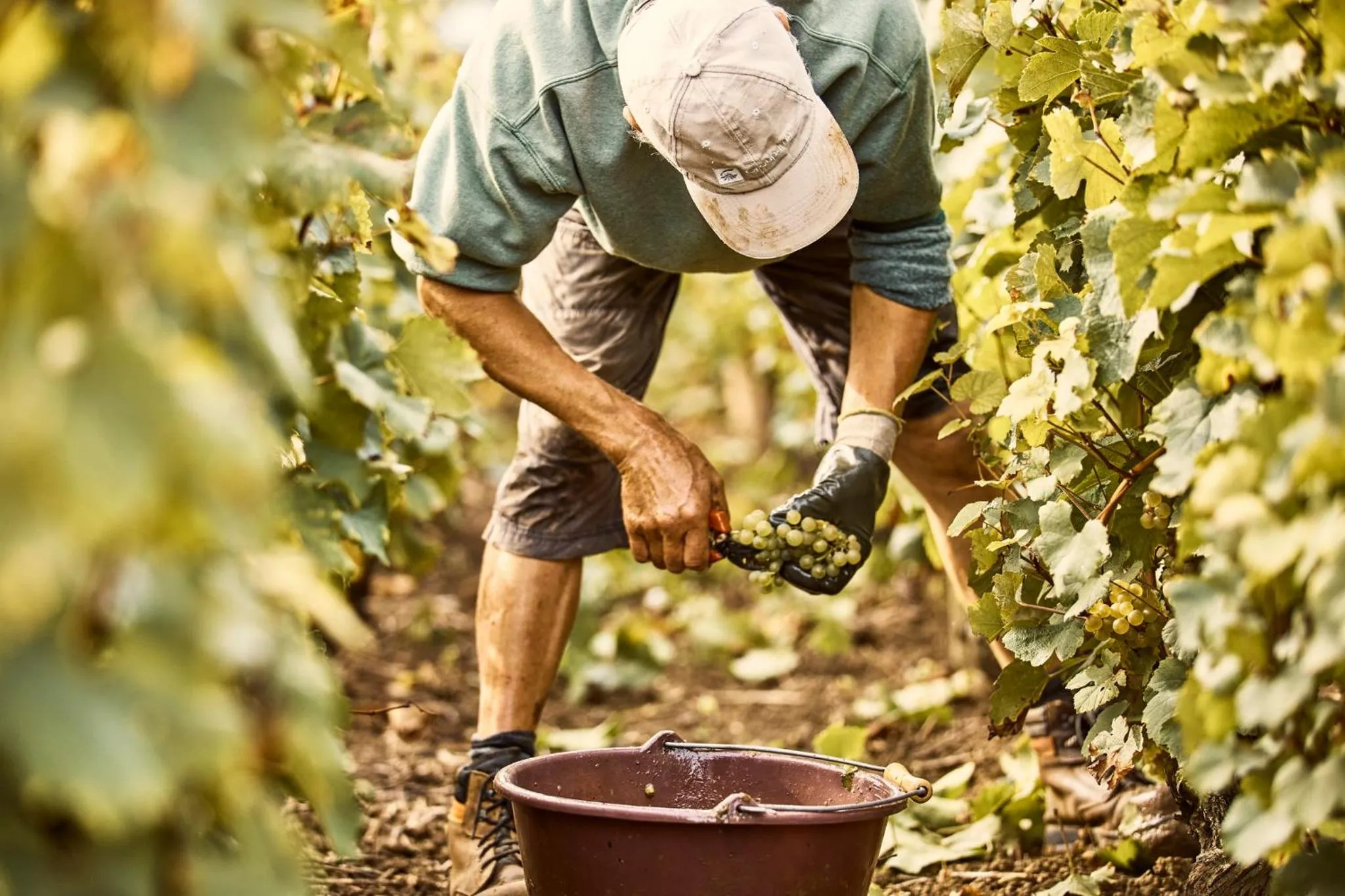 Nearby landmark in COMO Le Montrachet