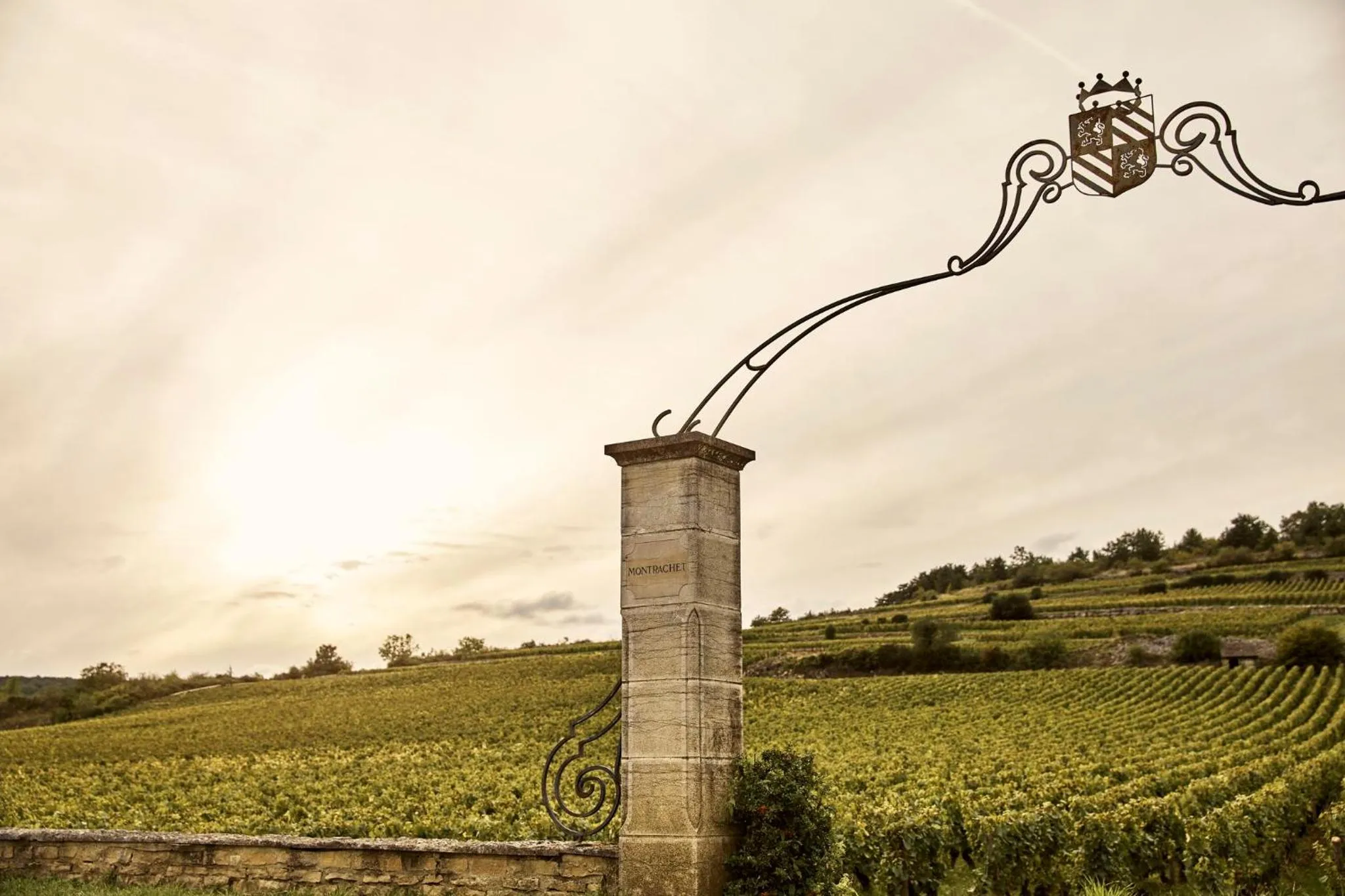 Property building in COMO Le Montrachet