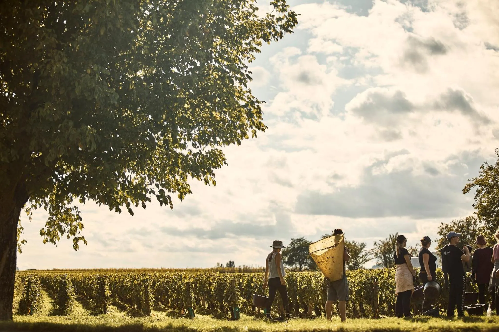 Nearby landmark in COMO Le Montrachet