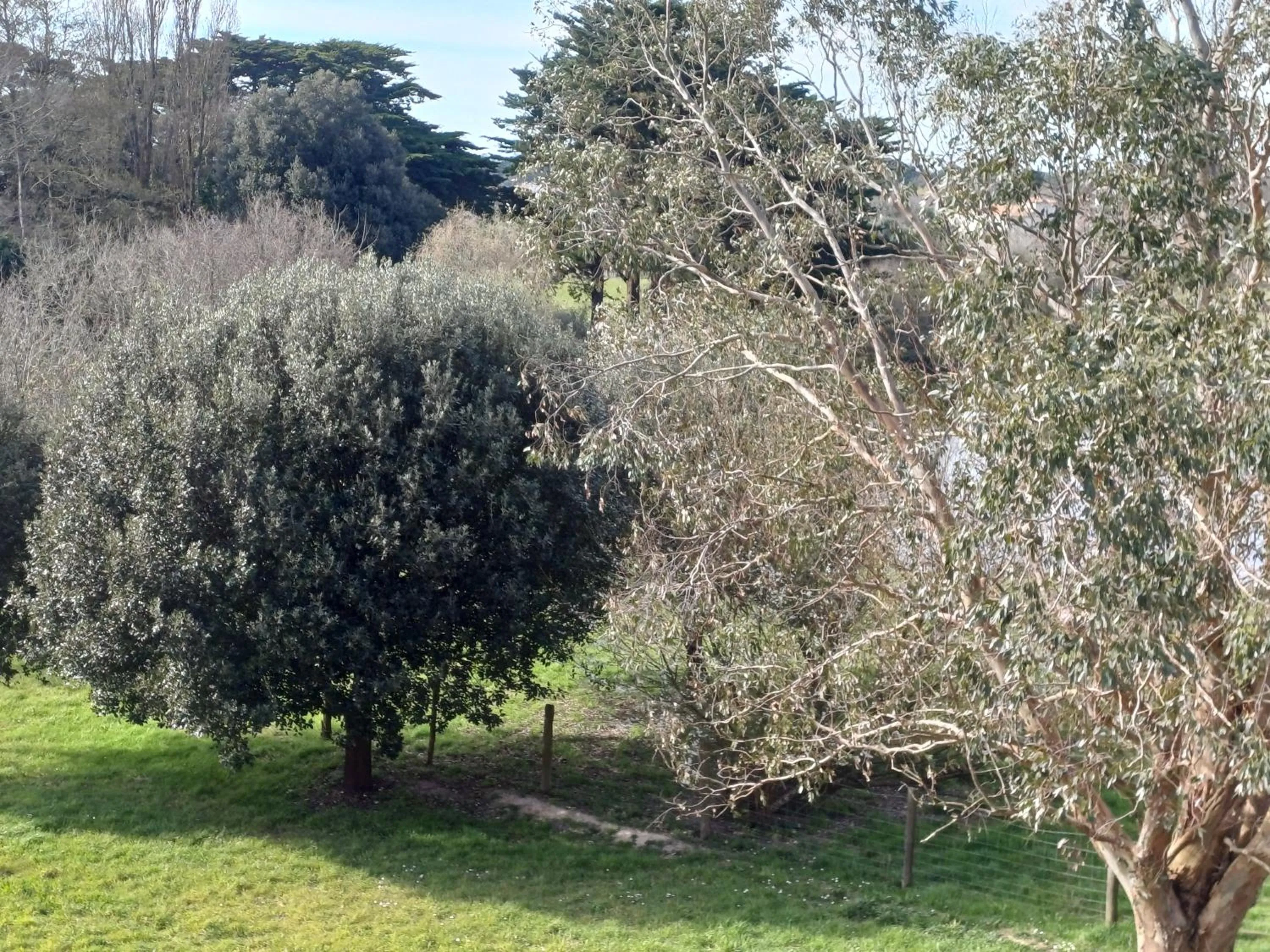 Garden view in Eco-Domaine La Fontaine - HOTEL-SPA - 300 m Plage de la Fontaine aux Bretons