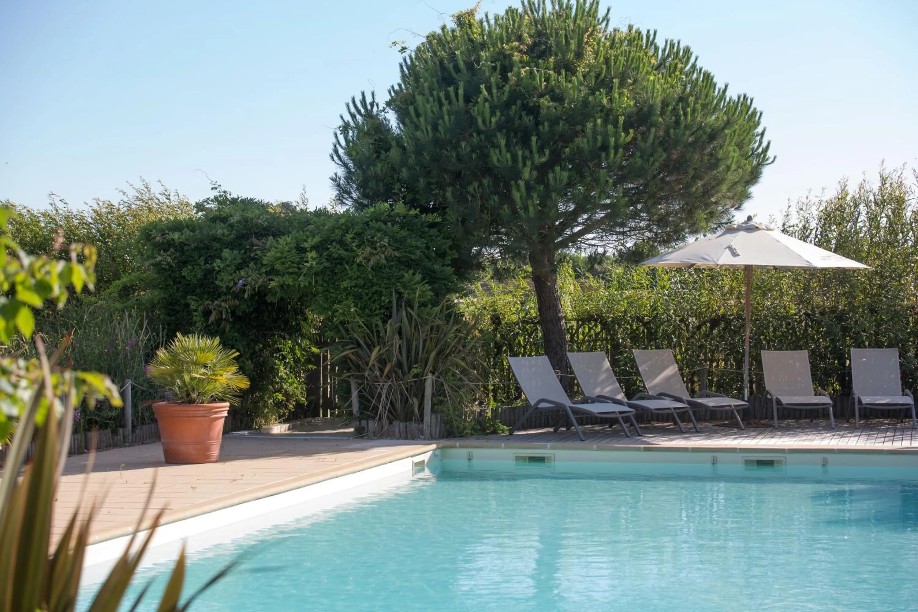 Swimming pool in Eco-Domaine La Fontaine - HOTEL-SPA - 300 m Plage de la Fontaine aux Bretons
