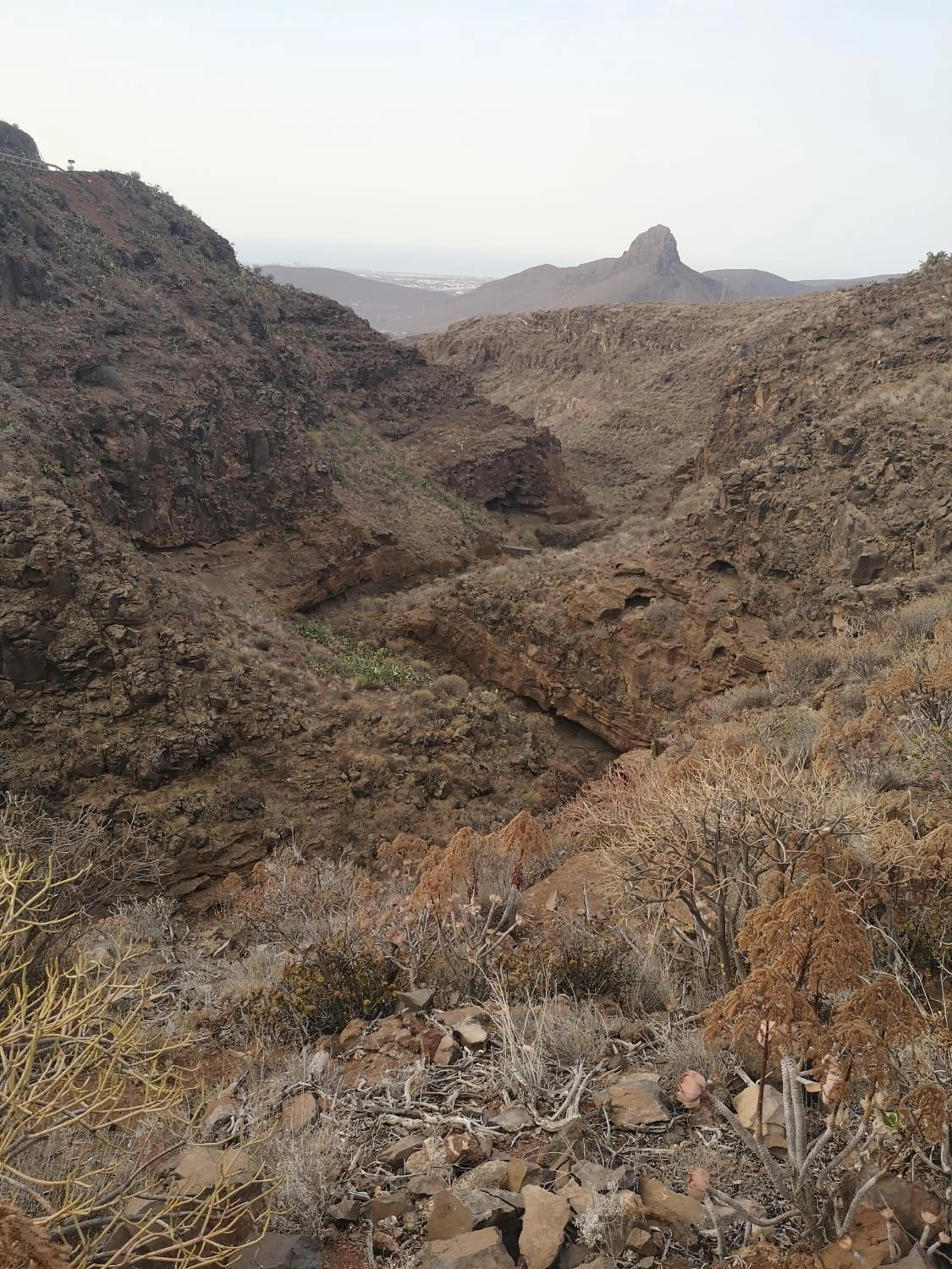 La Casona Canaria Boutique Home B & B