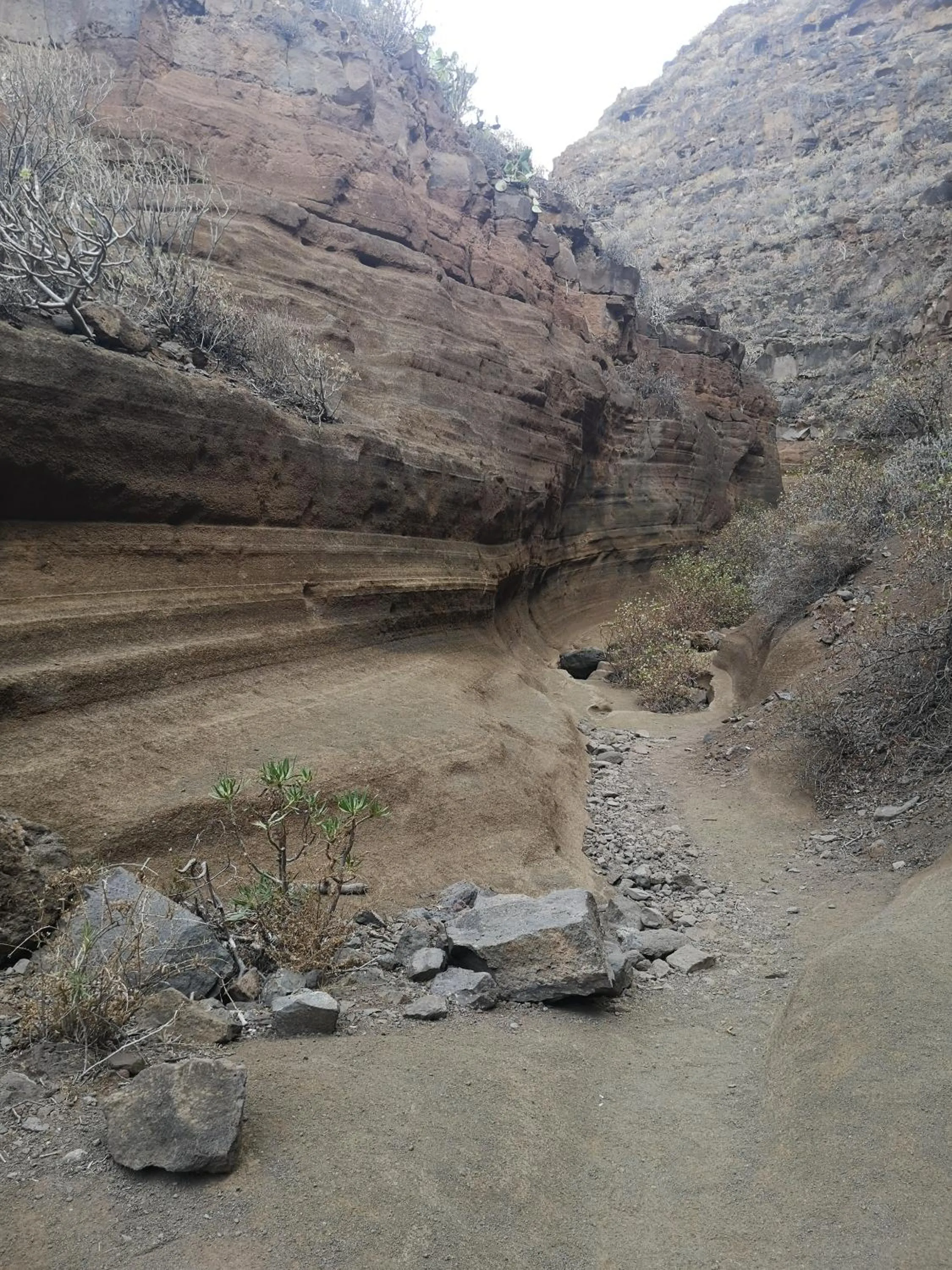 La Casona Canaria Boutique Home B & B