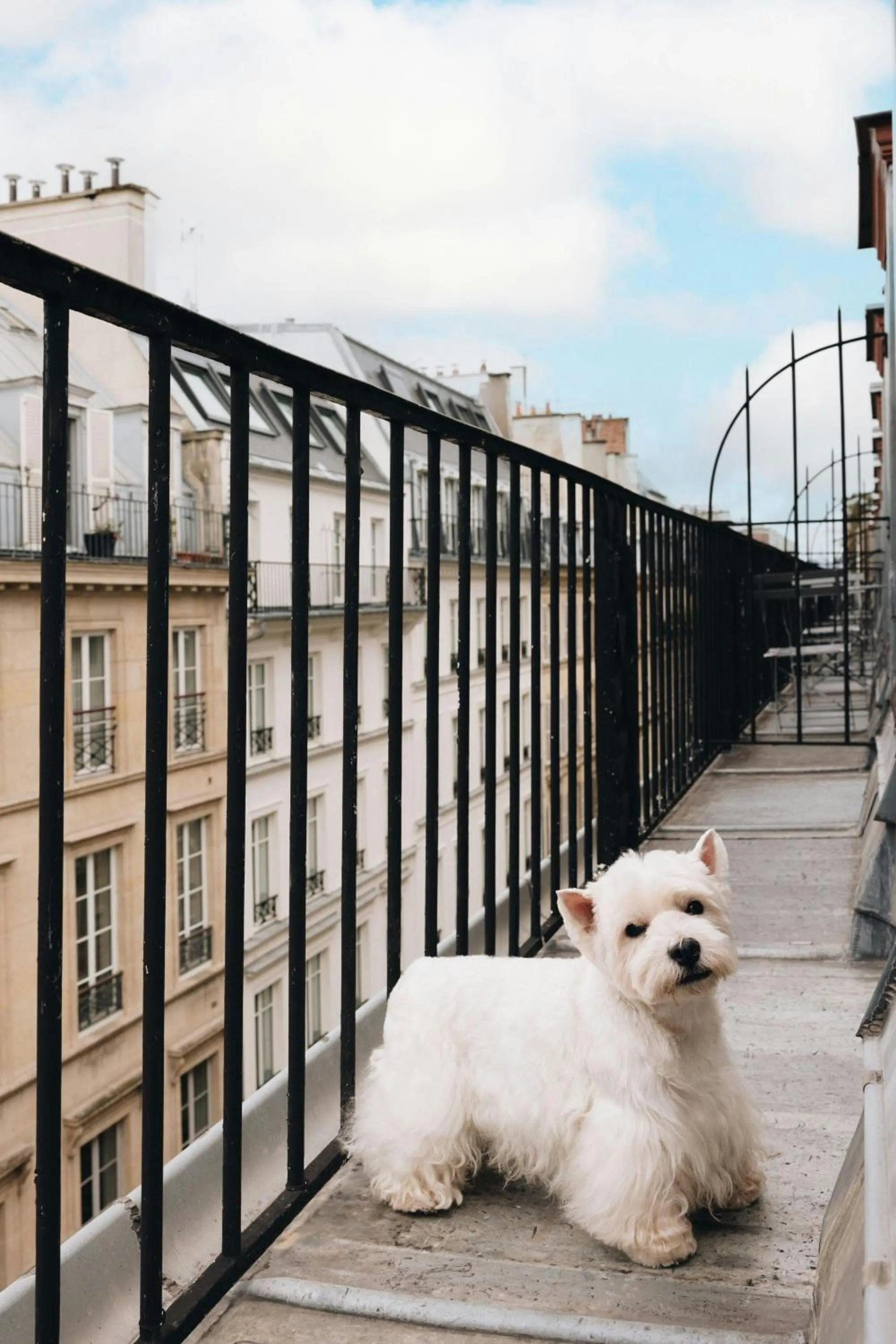 Other in Renaissance Paris Vendome Hotel