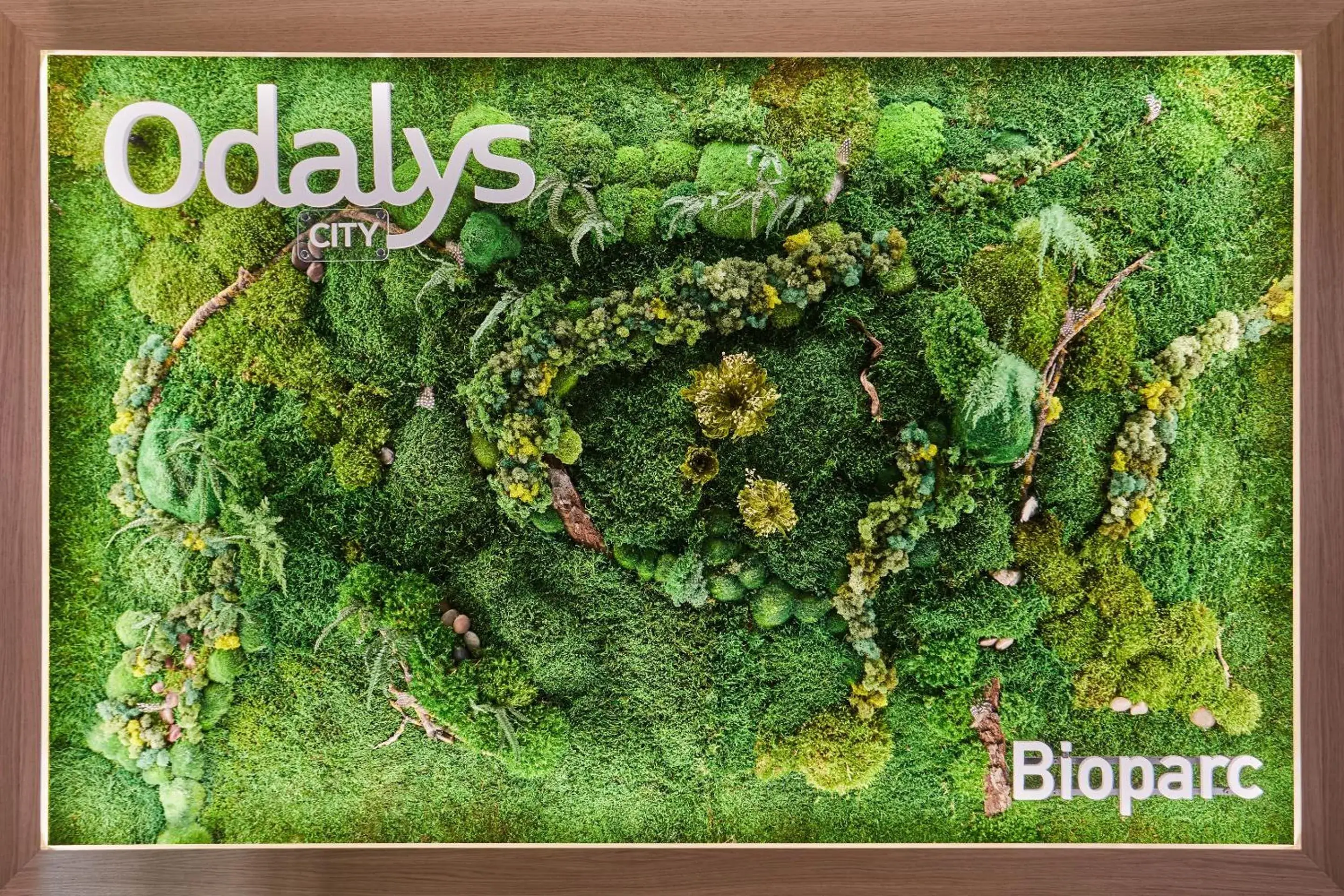 Lobby or reception in Appart'hôtel Odalys City - Bioparc Lyon Est Lobby or reception in Appart'hôtel Odalys City - Bioparc Lyon Est