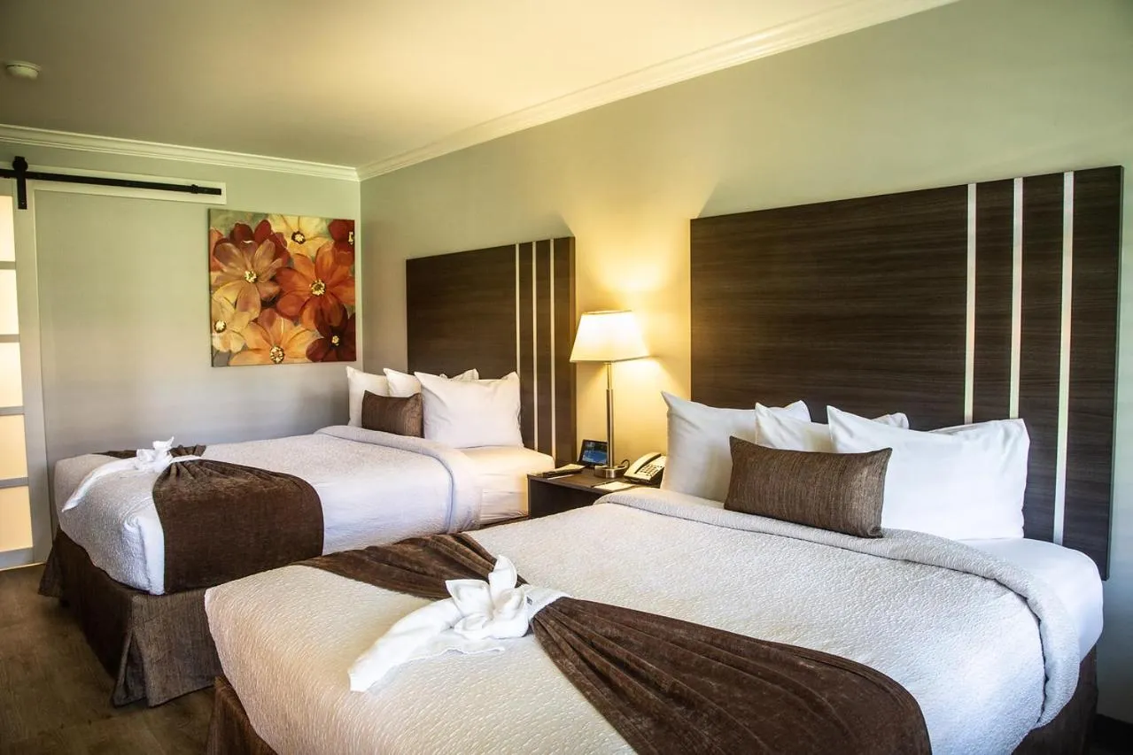 Street view, Bed in Palm Garden Hotel