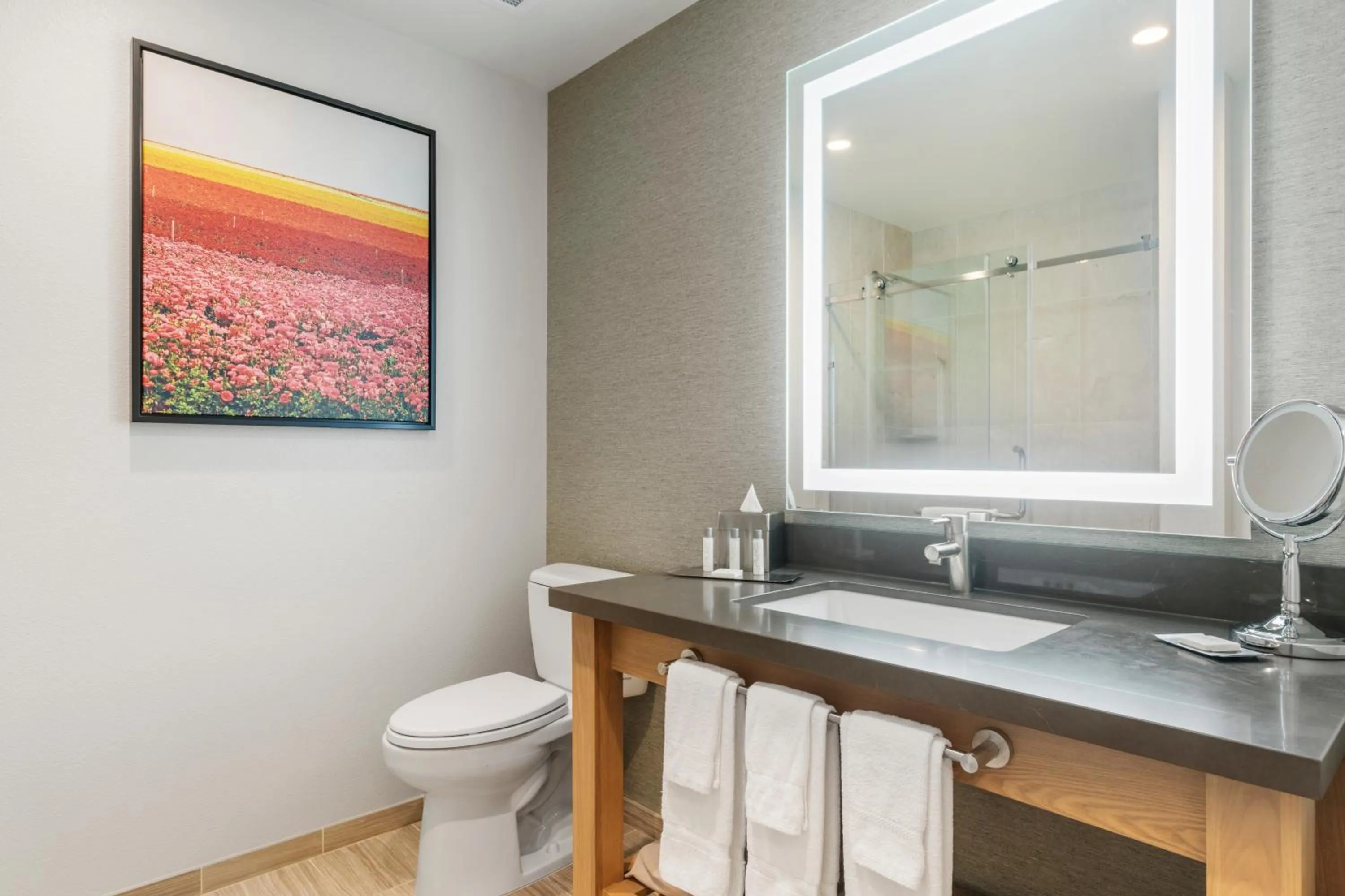 Toilet in Pala Mesa Resort