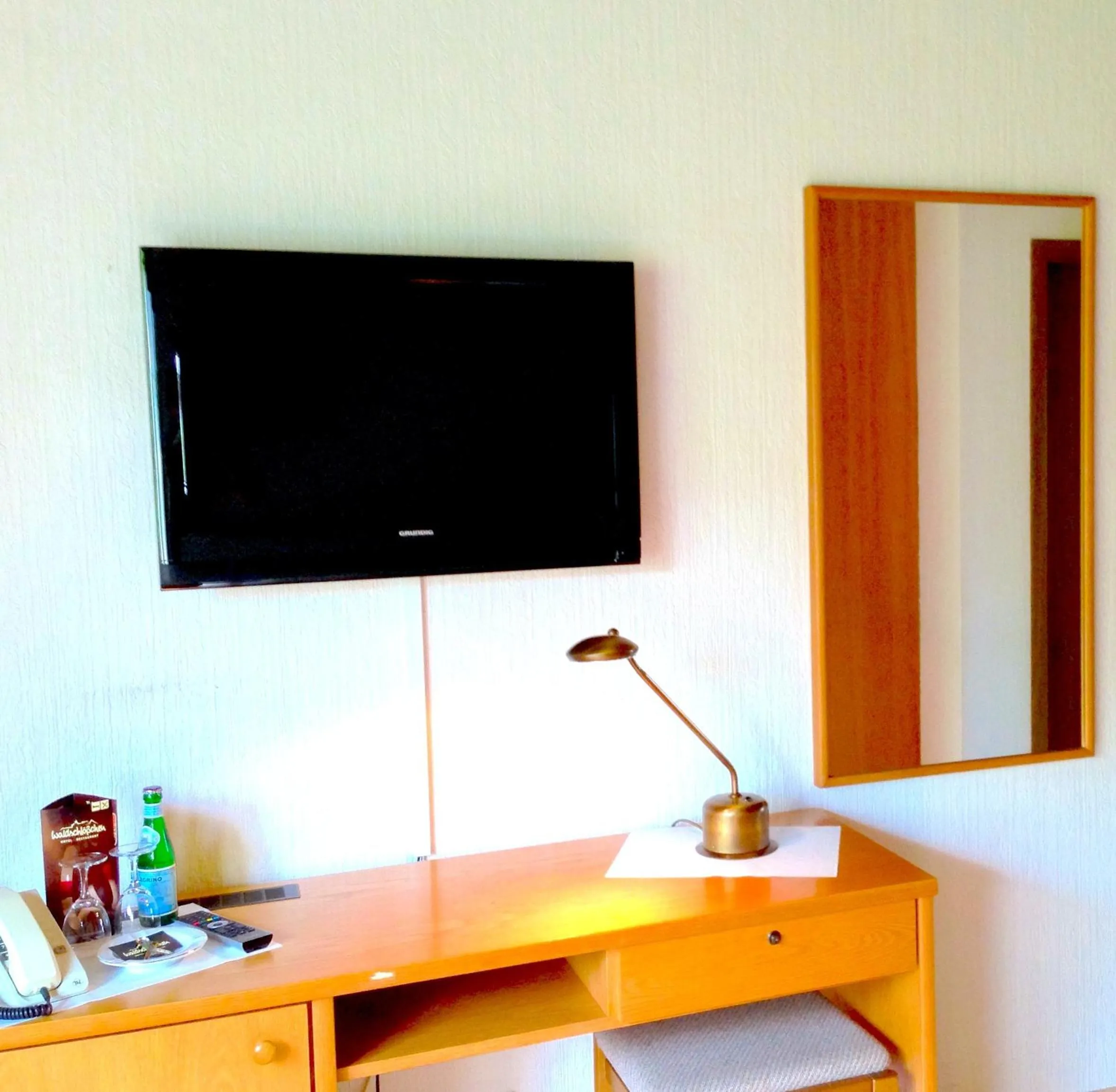 TV and multimedia in Hotel Waldschlösschen