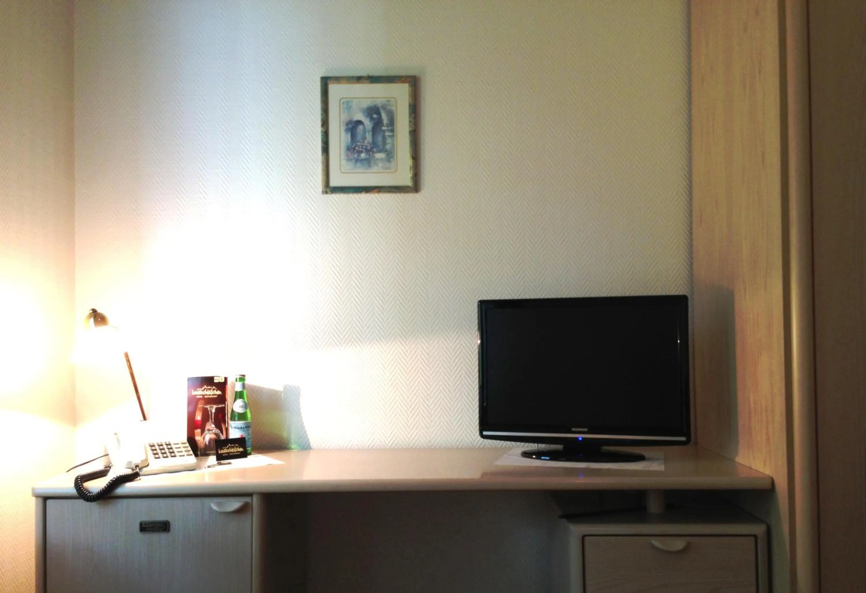 TV and multimedia in Hotel Waldschlösschen