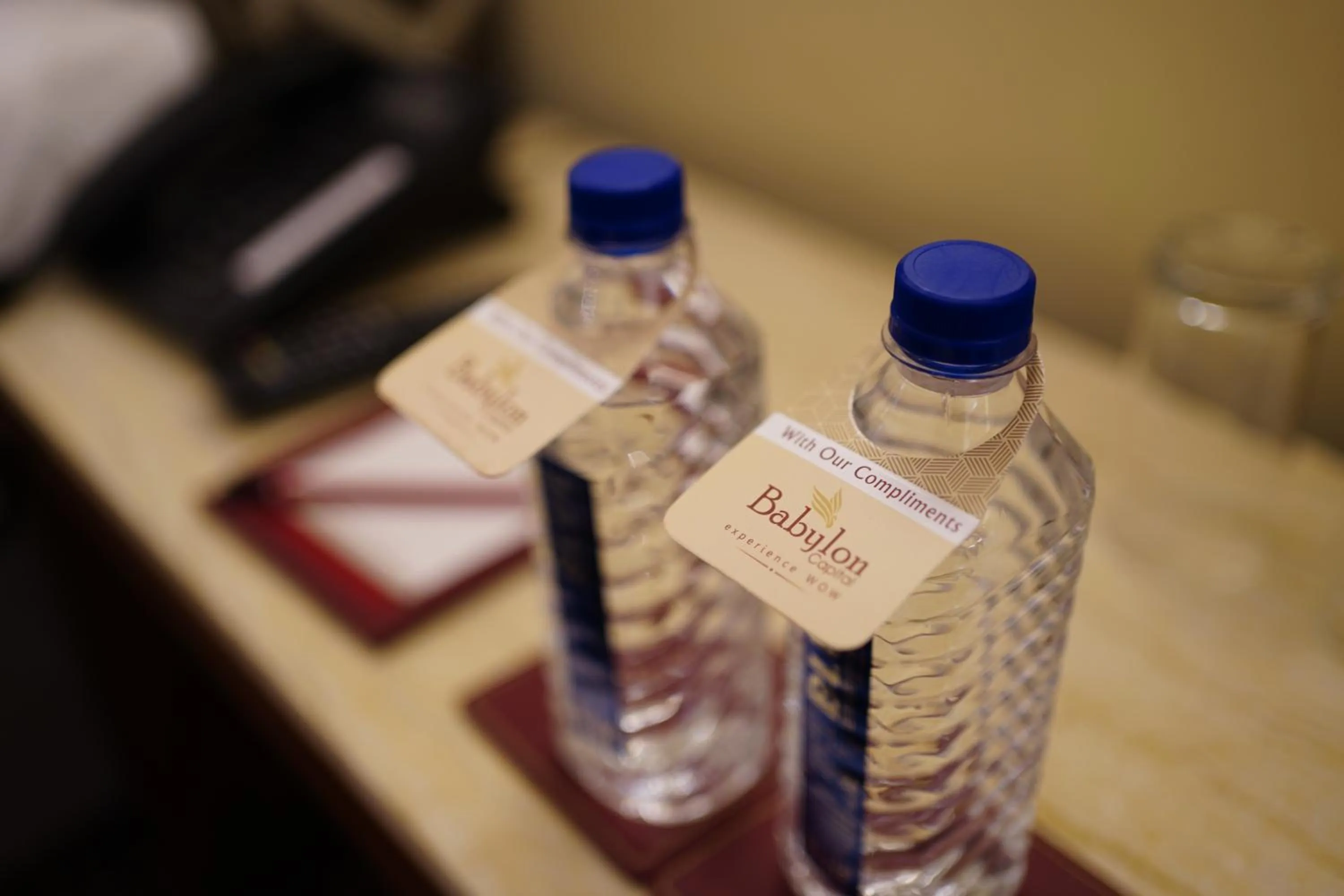 Living room in Babylon Capital